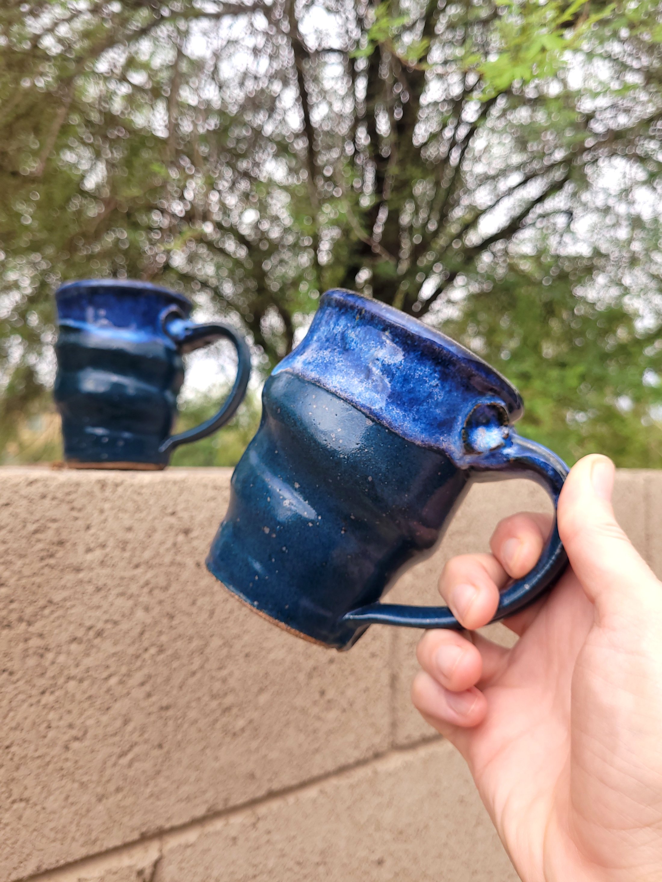 SpruceBlueMugs12.jpg