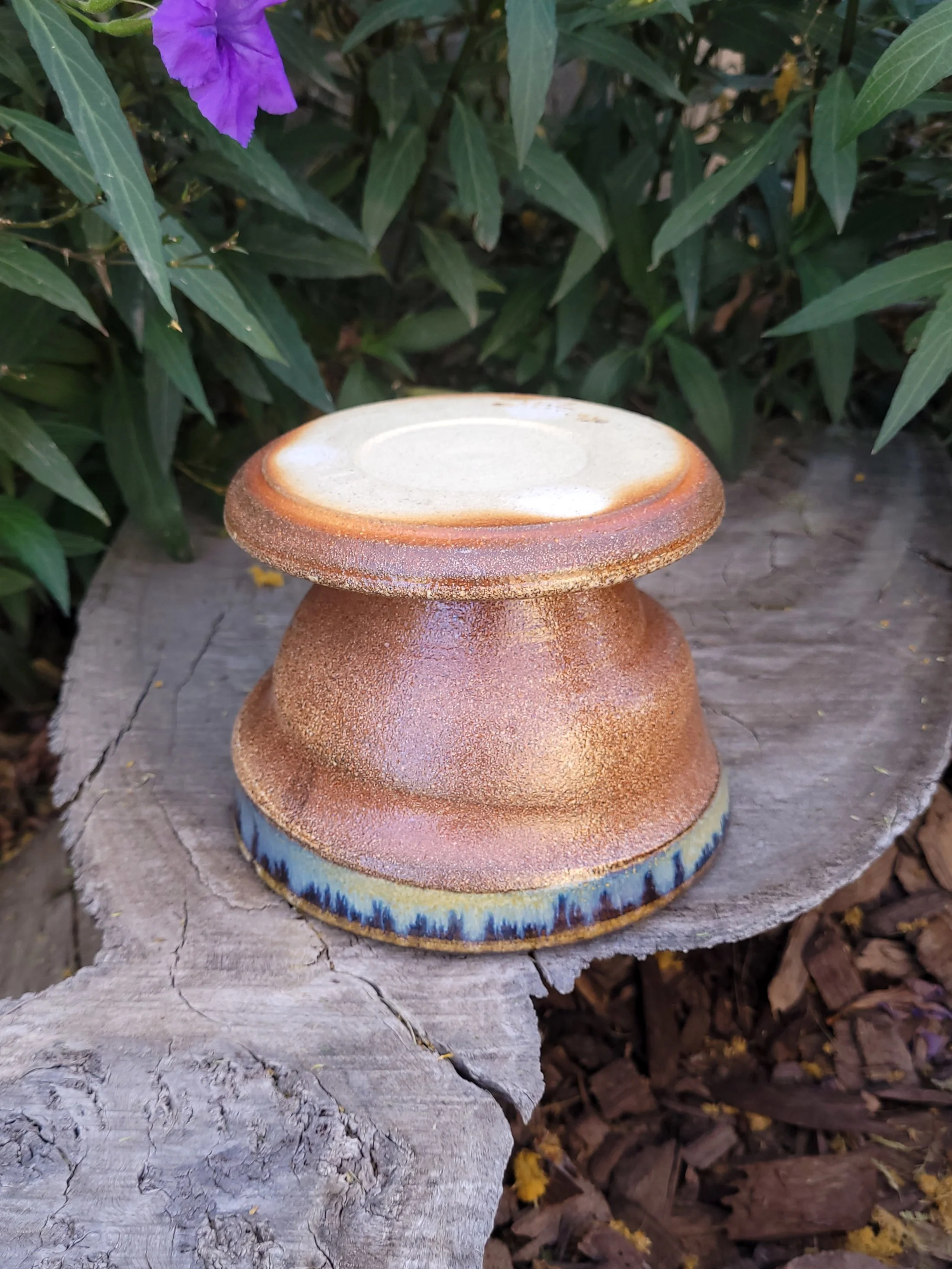 WFGoldspotTnmokuSwirlPlanter6.jpg