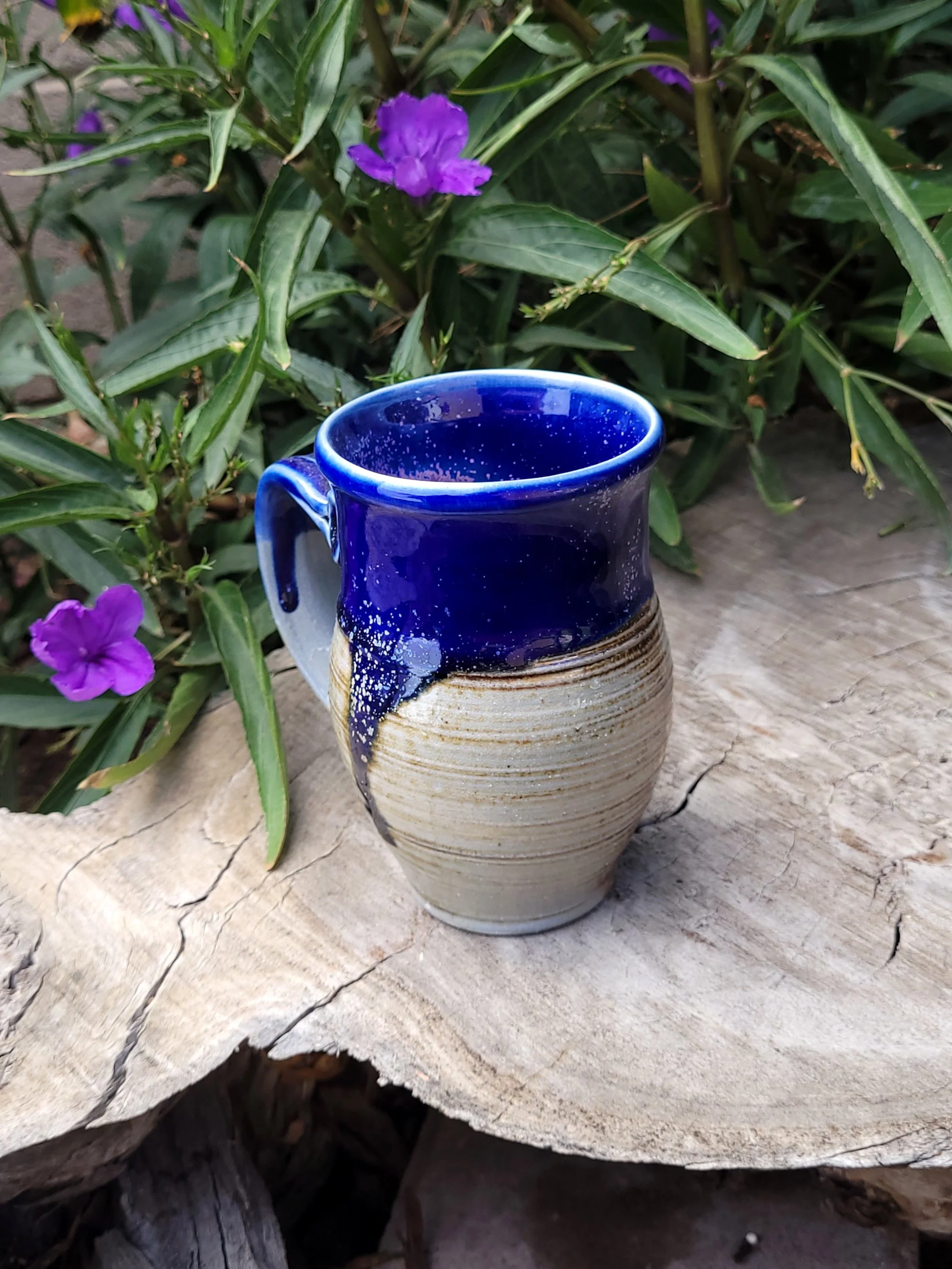 WFEmilyPurpleTexturedMug11.jpg