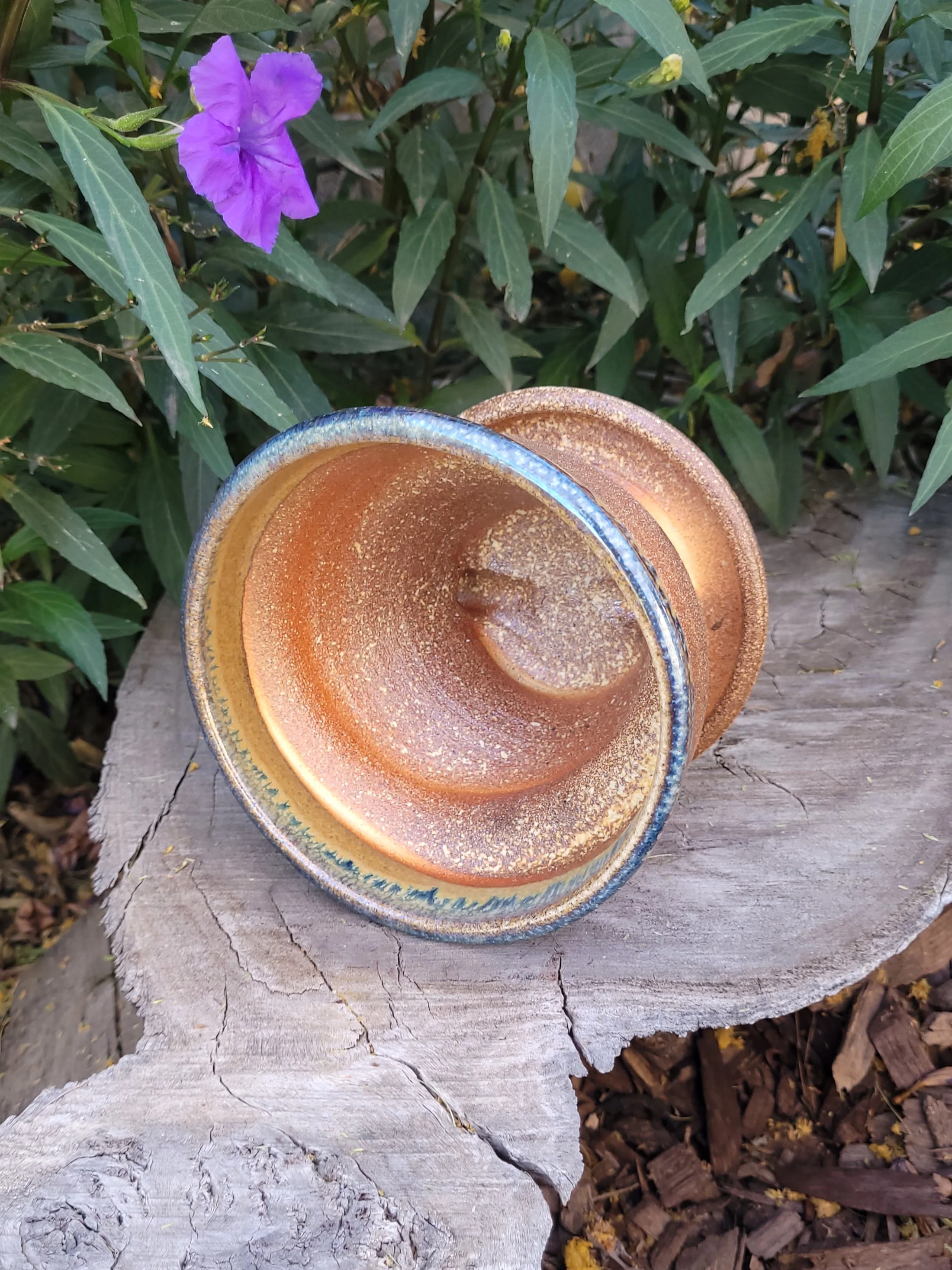 WFGoldspotTnmokuSwirlPlanter5.jpg