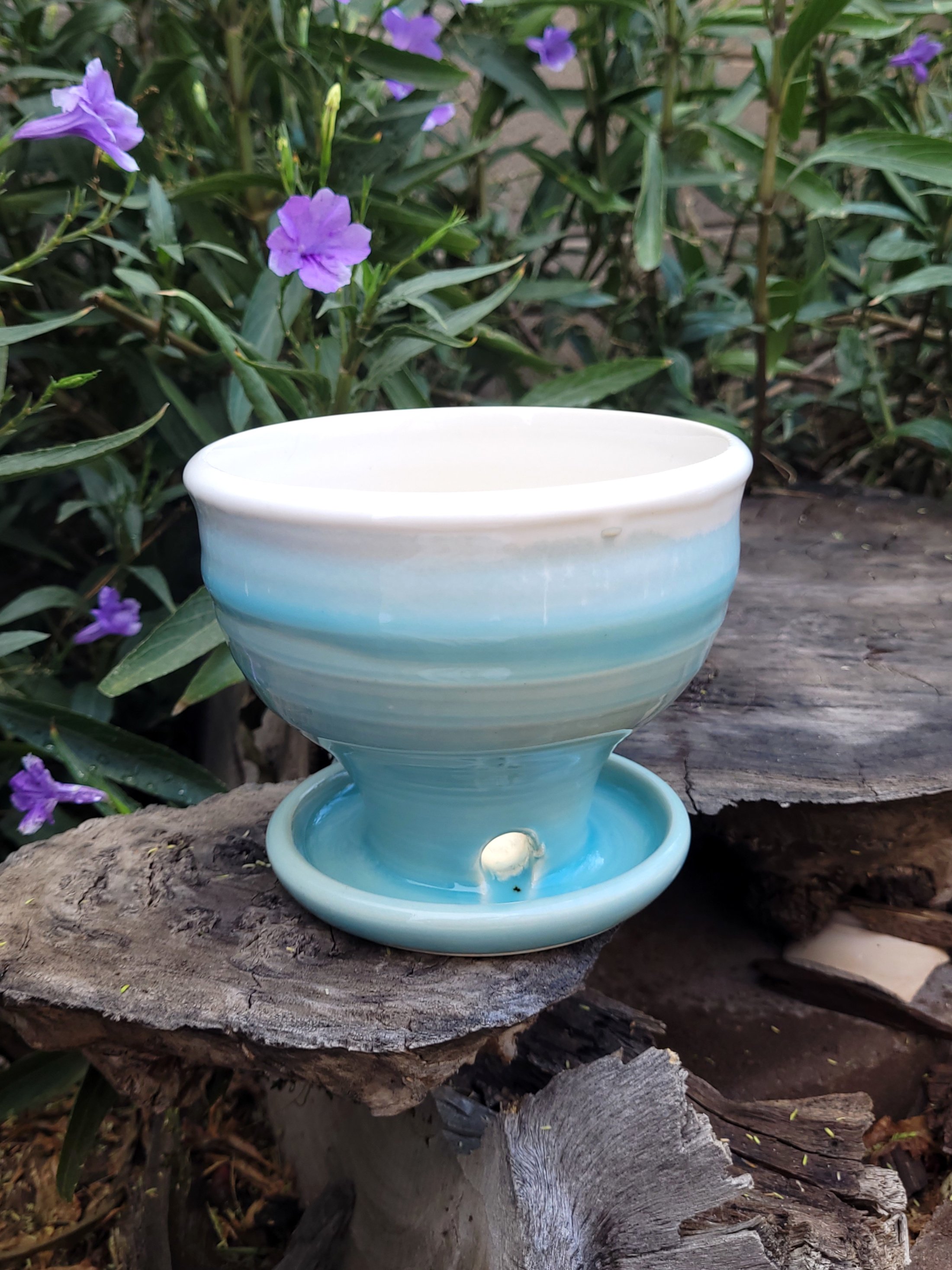 RobinxEggTexturedPlanter3.jpg
