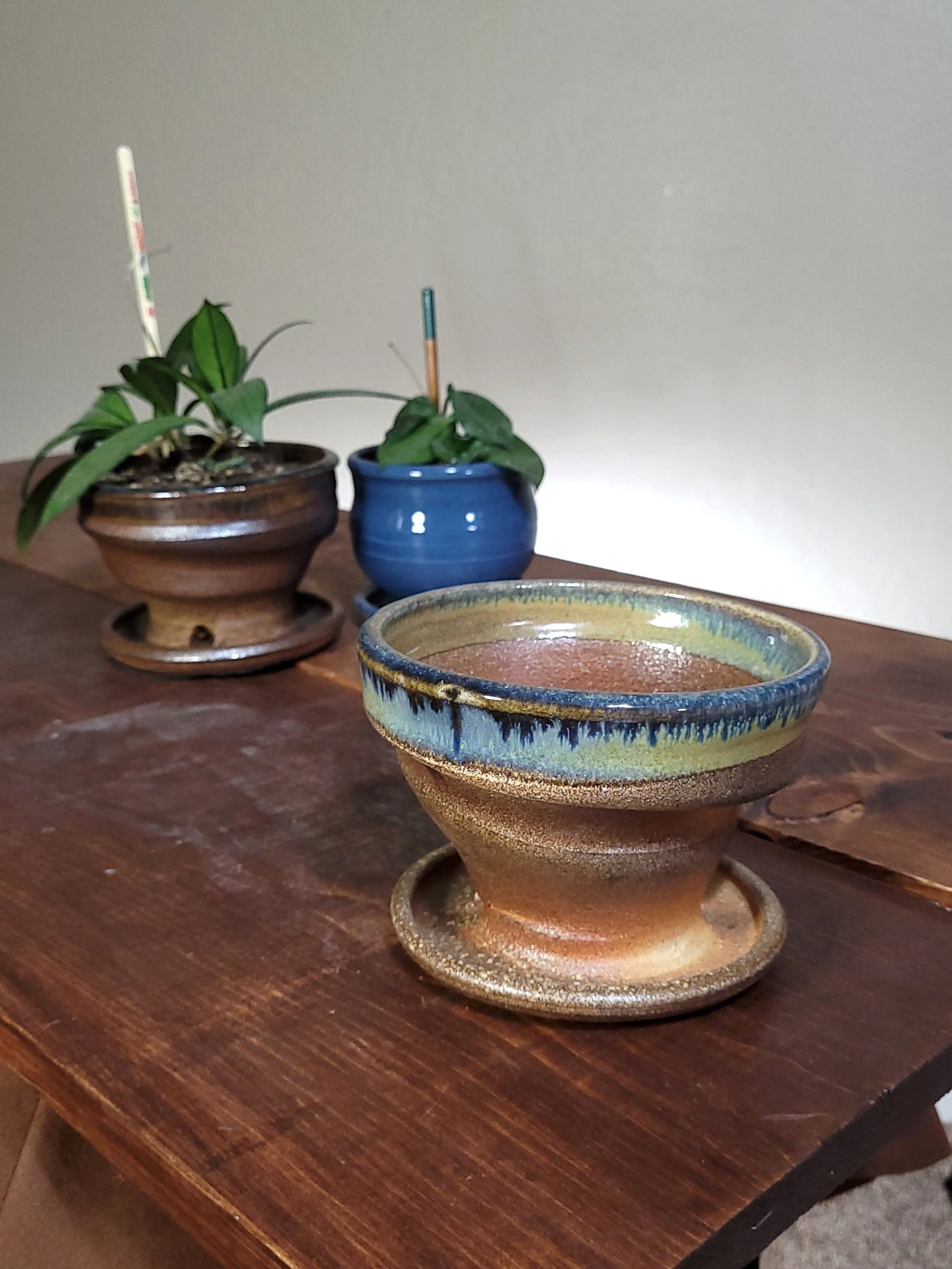 WFGoldspotTnmokuSwirlPlanter11.jpg