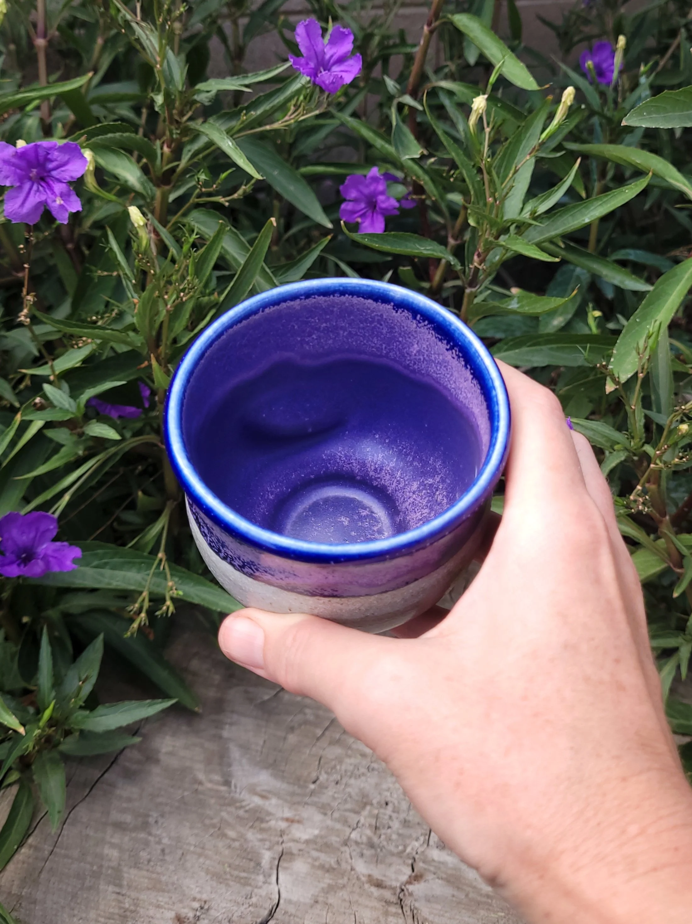 WFEmilyPurpleDentedCup1.jpg