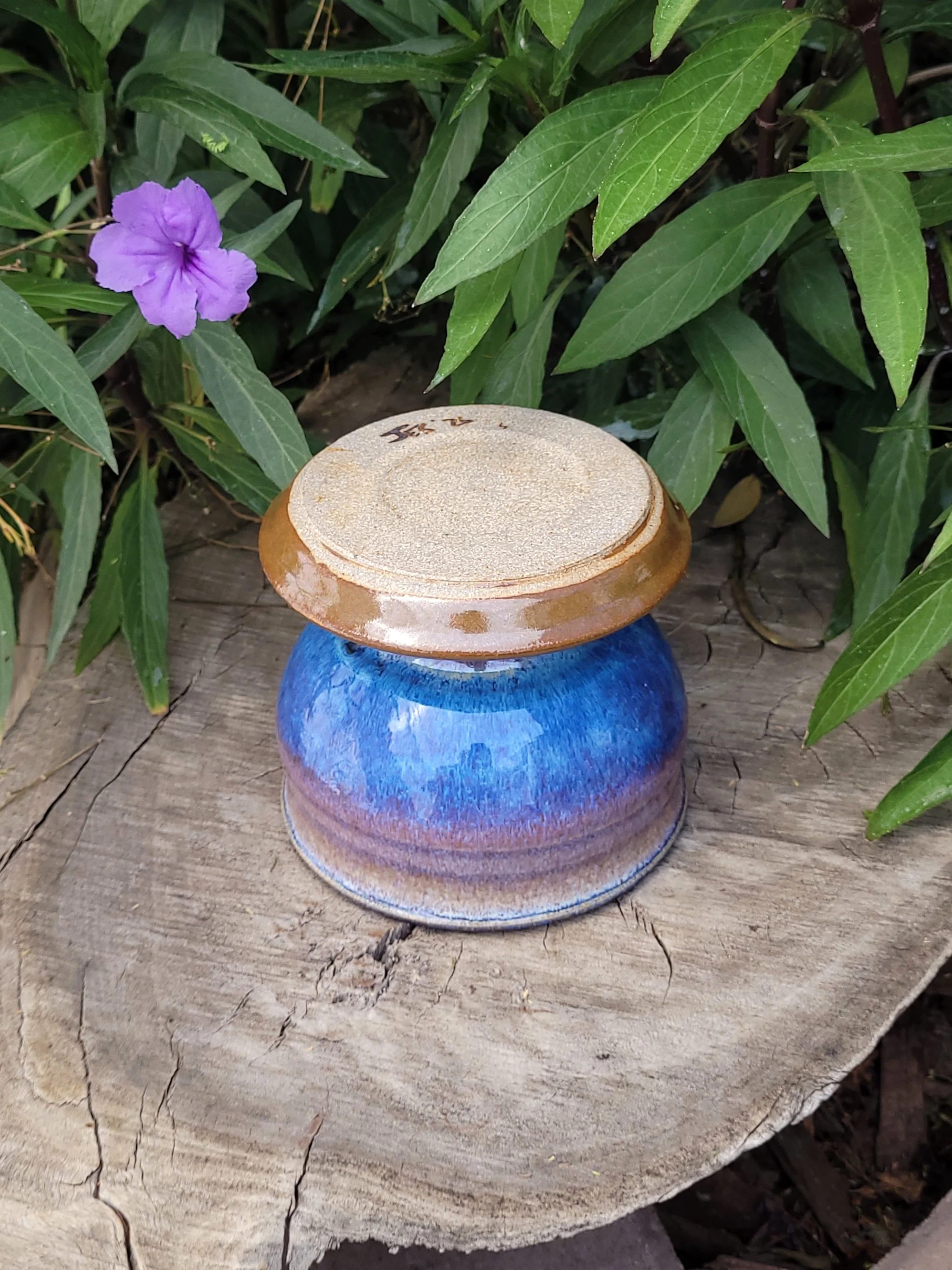 RutileBlueSlippedPlanter9.jpg