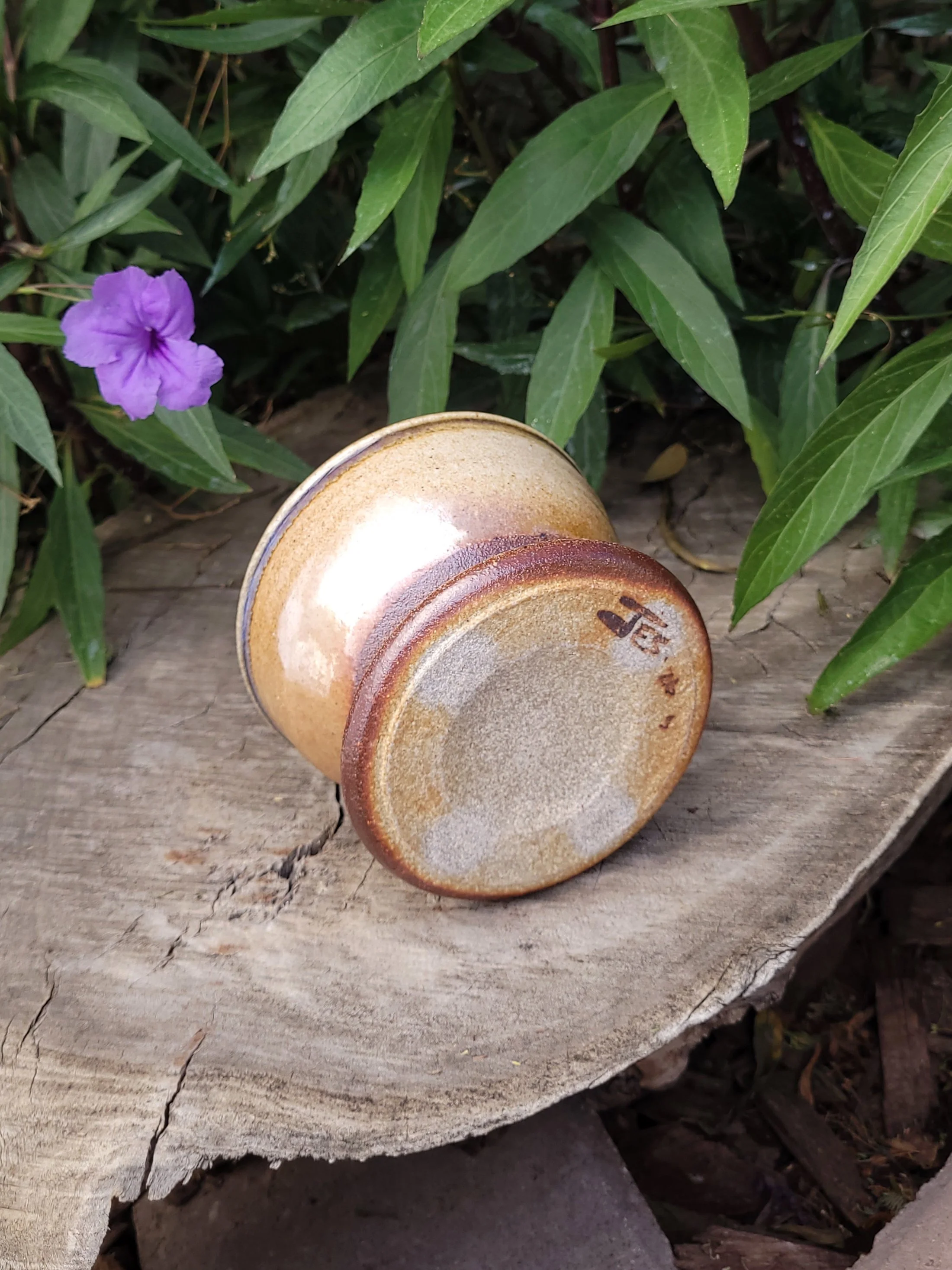 WFShinoWooBluePlanter7.jpg