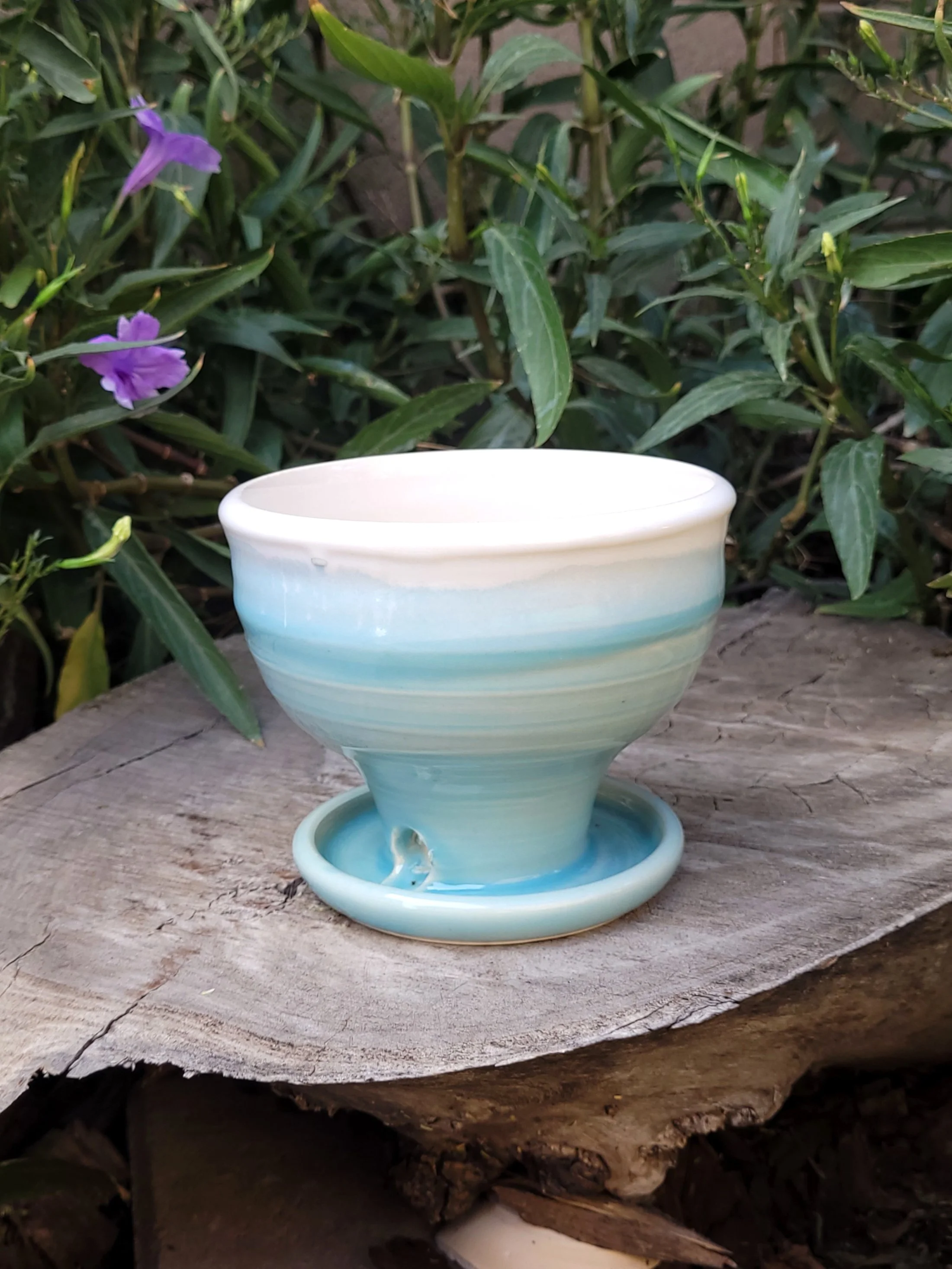 RobinxEggTexturedPlanter1.jpg