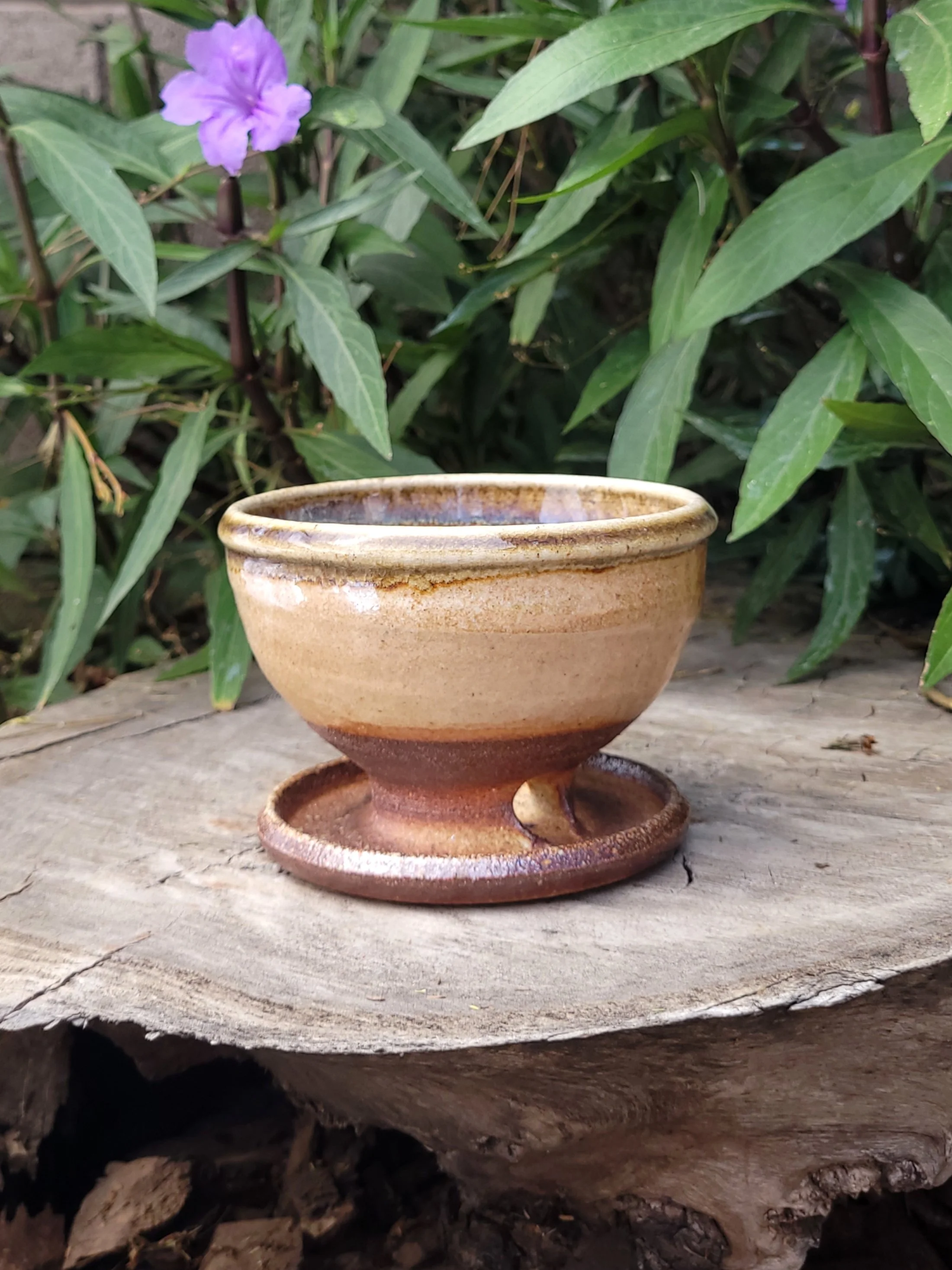 WFShinoWooBluePlanter2.jpg