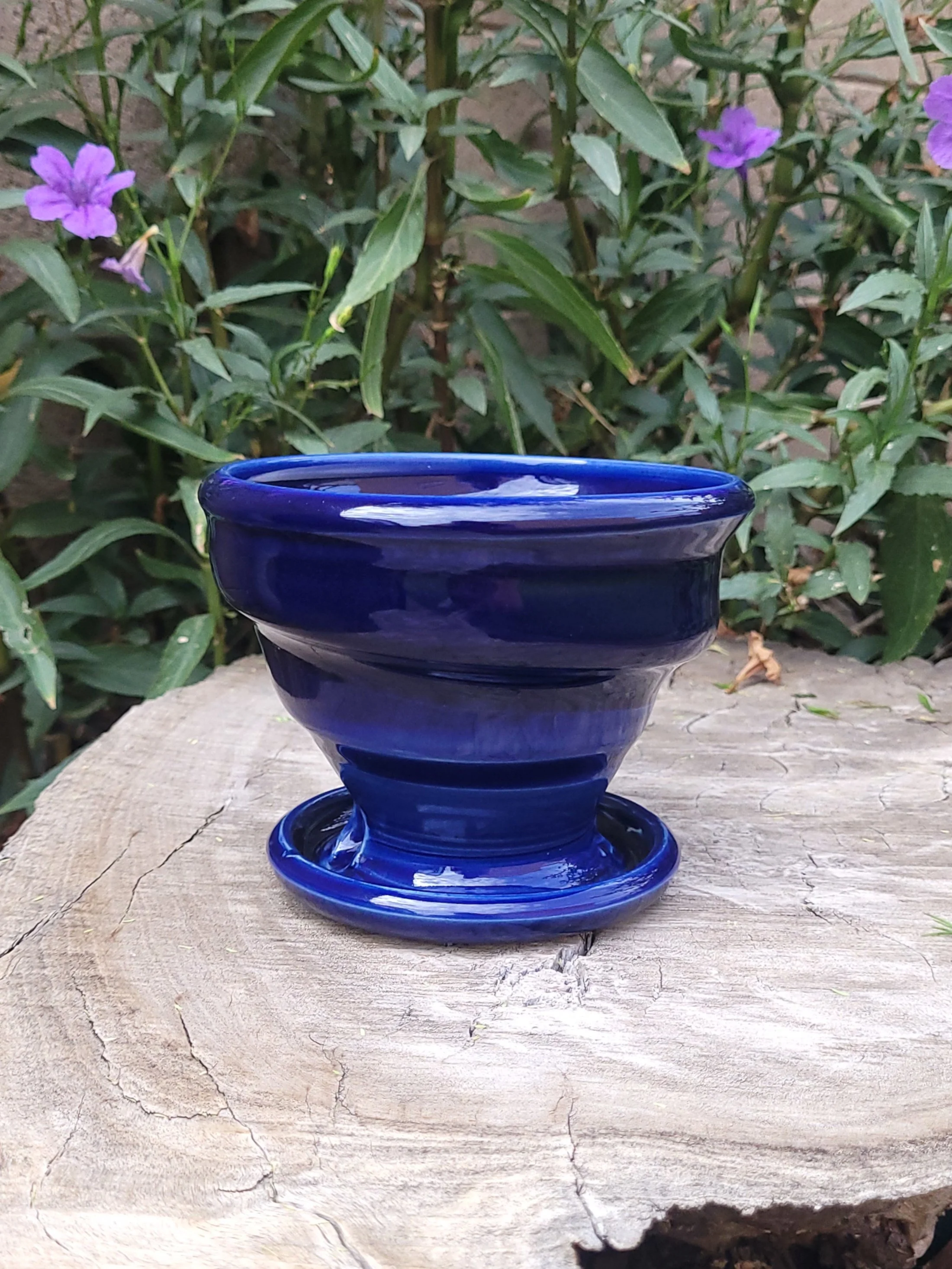 TrueBluePlanter4.jpg