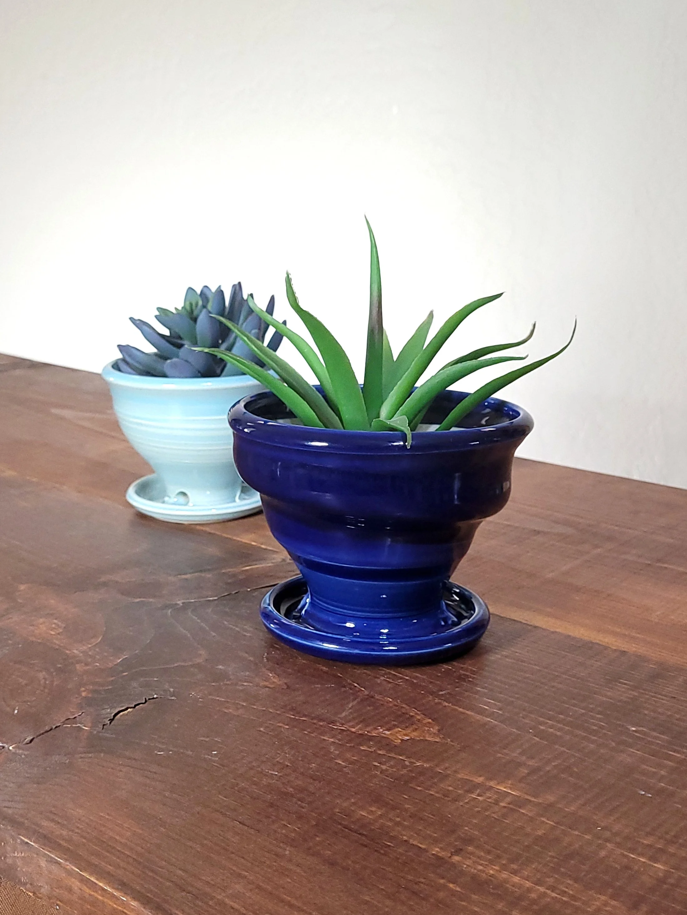 TrueBluePlanter13.jpg