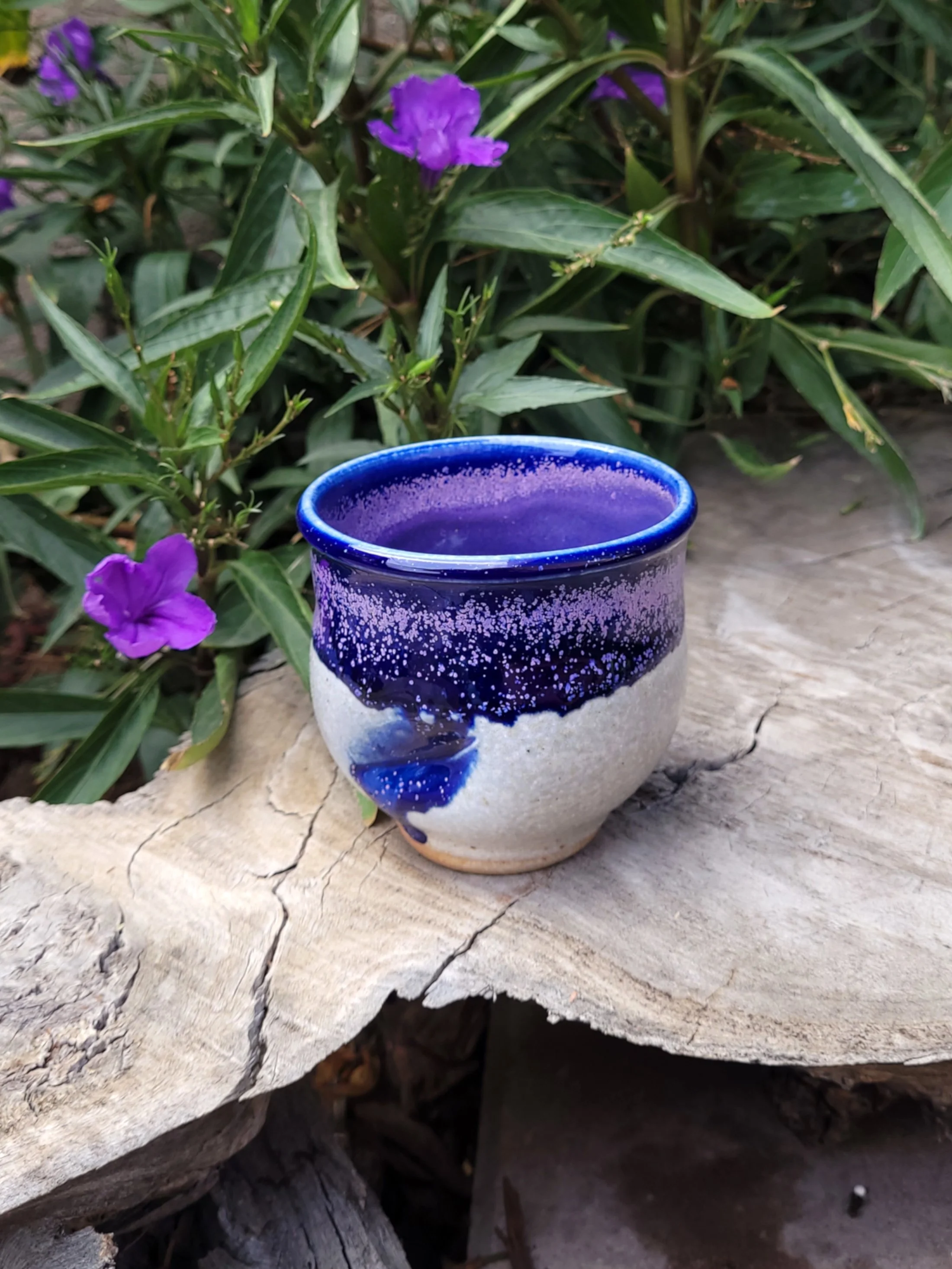 WFEmilyPurpleDentedCup5.jpg