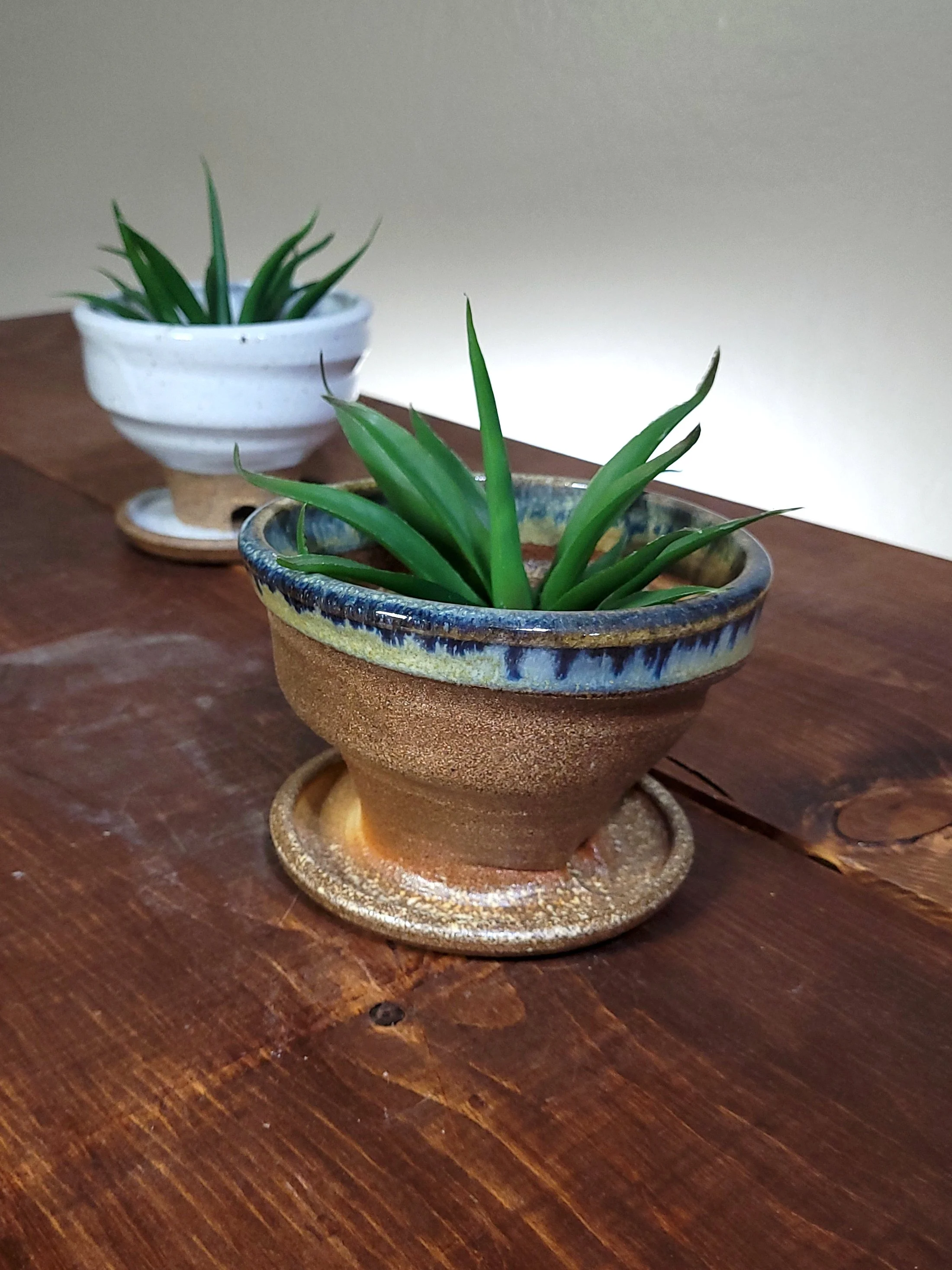 WFGoldspotTnmokuSwirlPlanter12.jpg