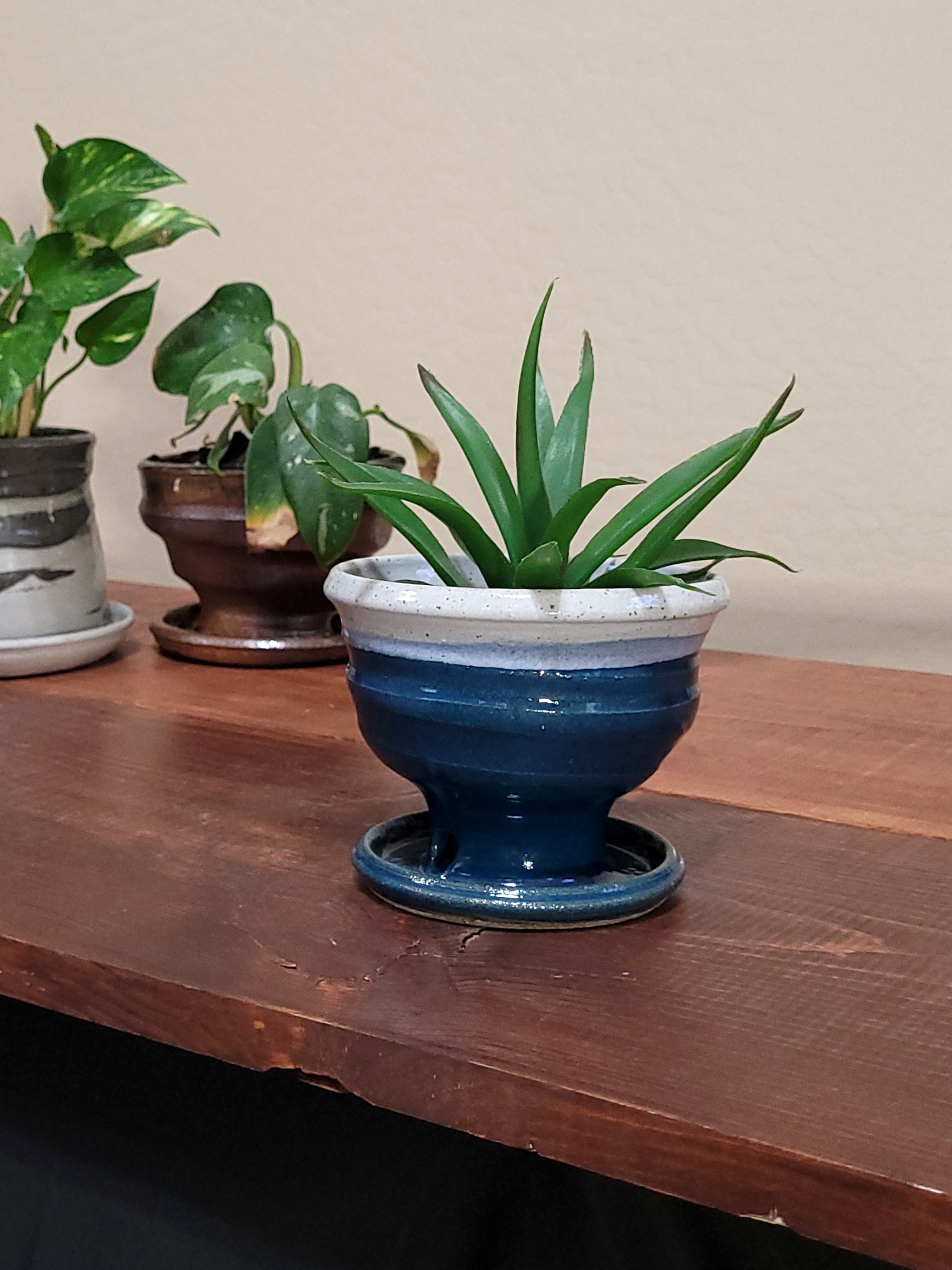 BlueGreenWhitePlanter11.jpg