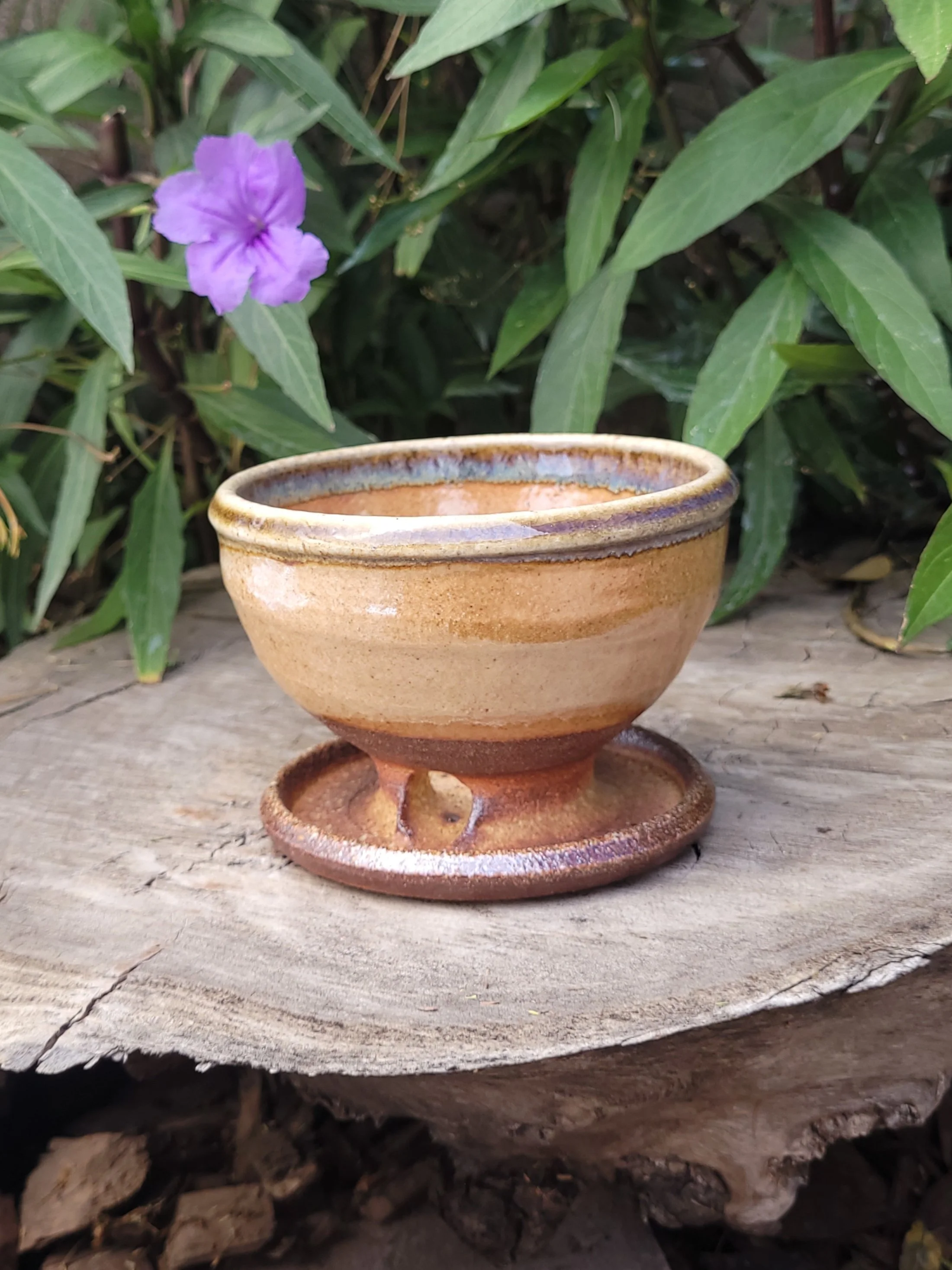 WFShinoWooBluePlanter5.jpg