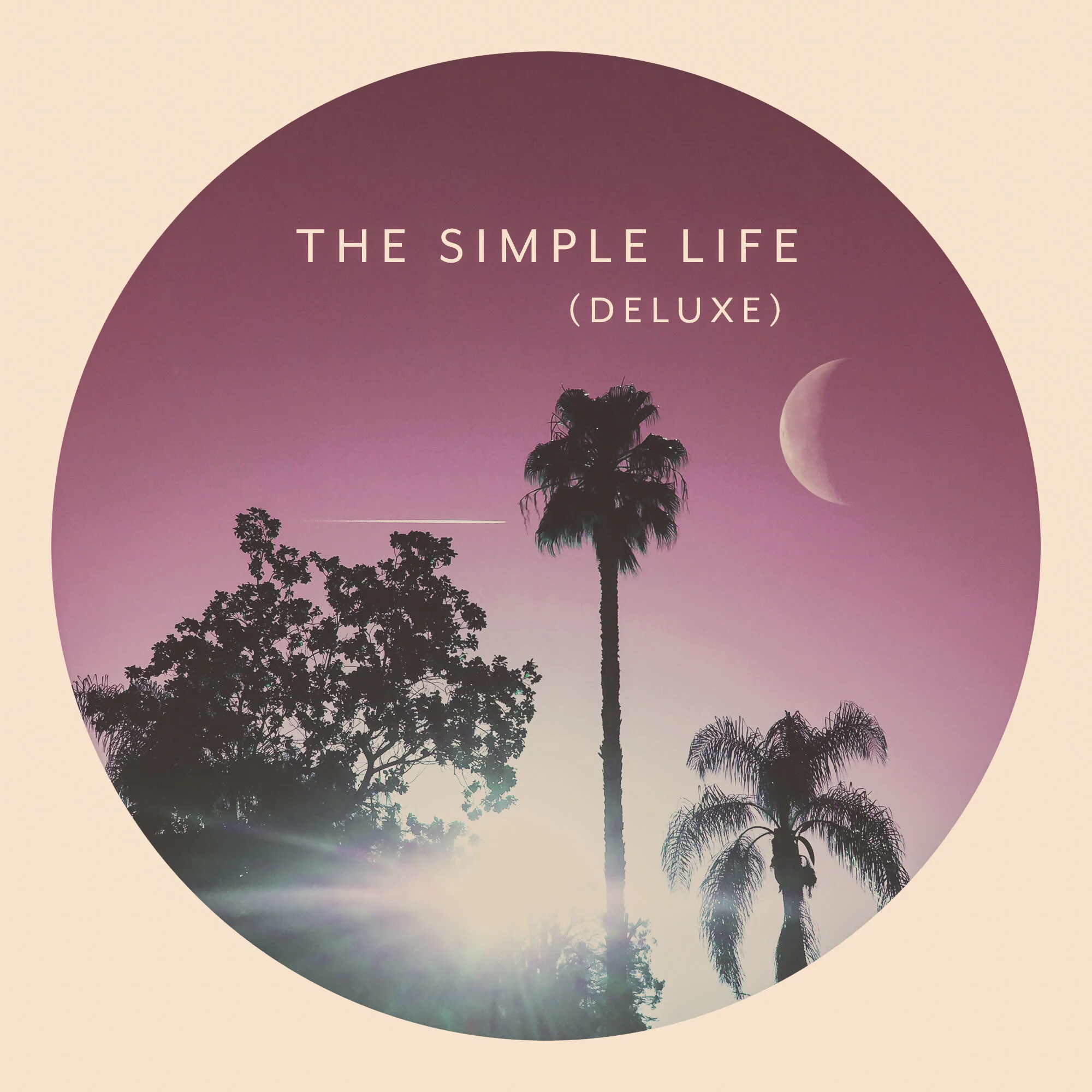 The Simple Life (Deluxe).jpg