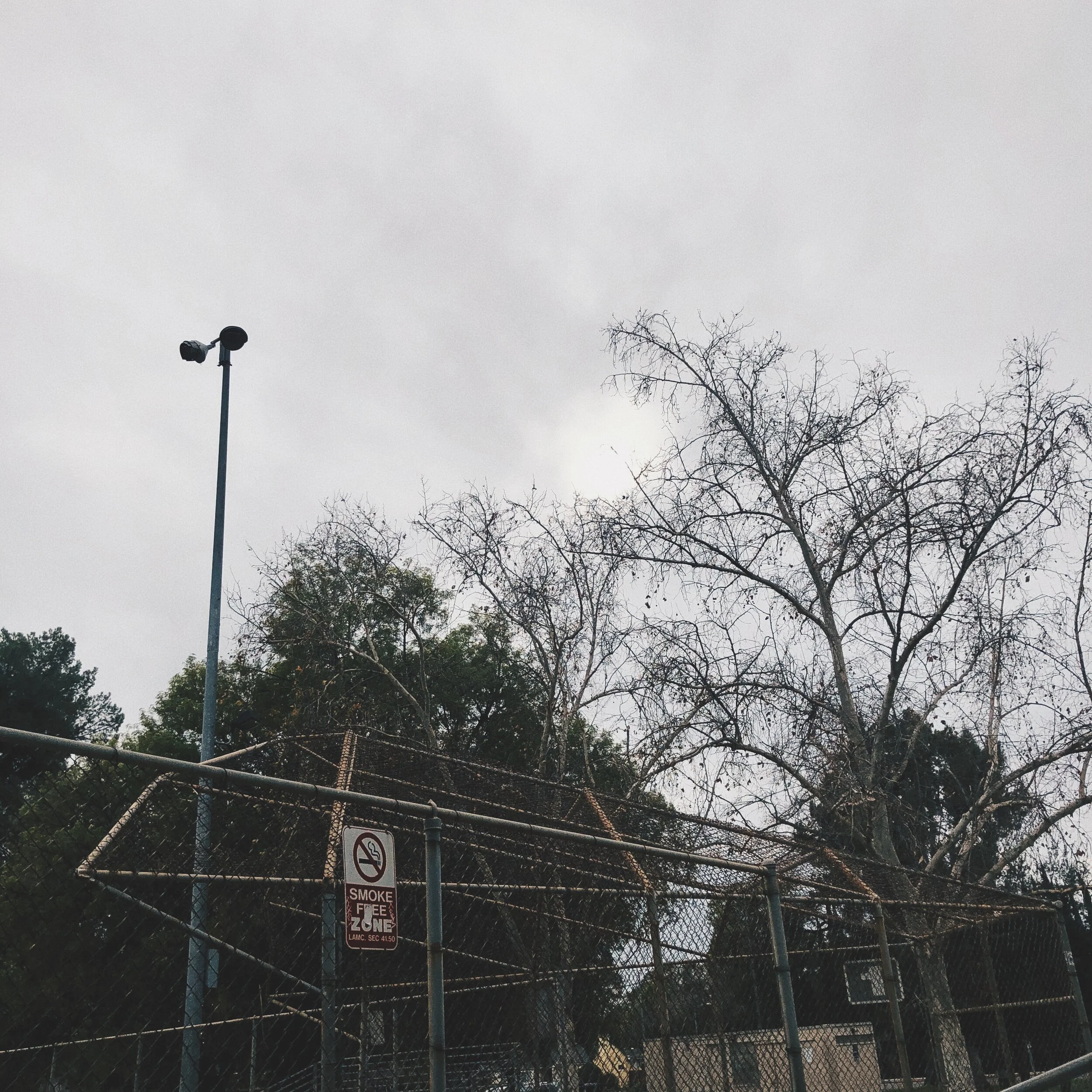 New Single "Anymore"