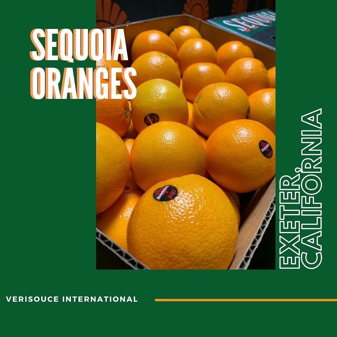 &lsquo;Tis the citrus season🍊
Don&rsquo;t forget your daily dose of vitamin c this Christmas Eve !!!

#citrus #oranges #sequoiaoranges #vitaminc #eatmorecitrus #fruits #exporttocalifornia #오렌지 #세코야오렌지 #건강 #비타민 #켈리포니아오렌지 #켈리포니아과일