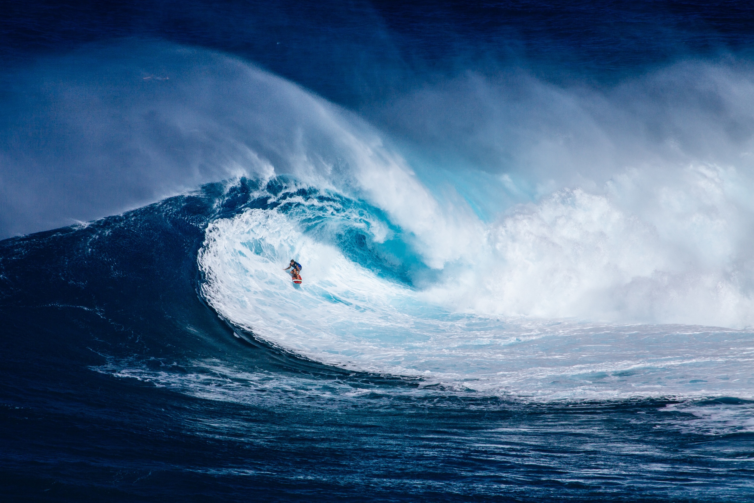 Surfer.jpg