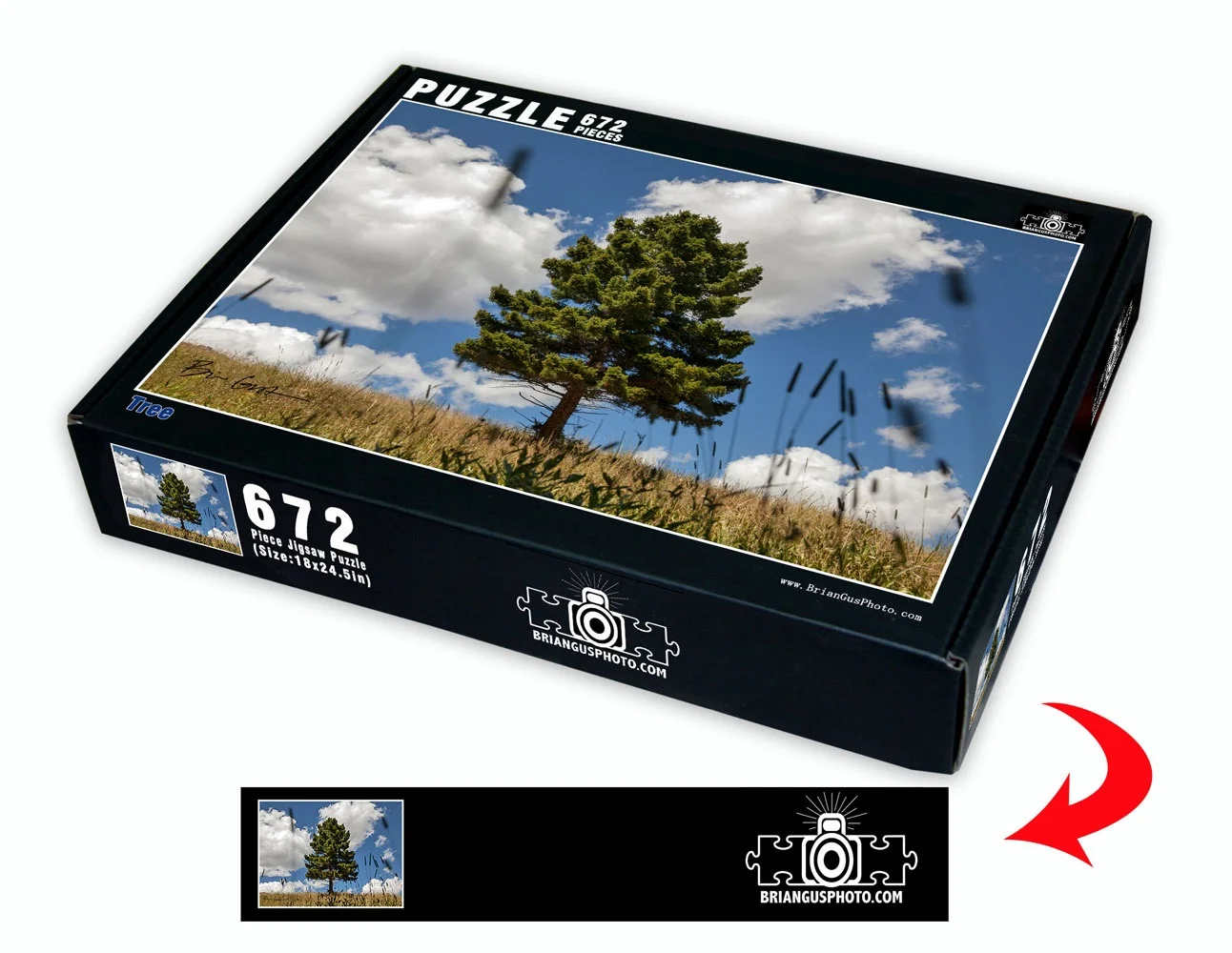 Pine Tree Box.jpg