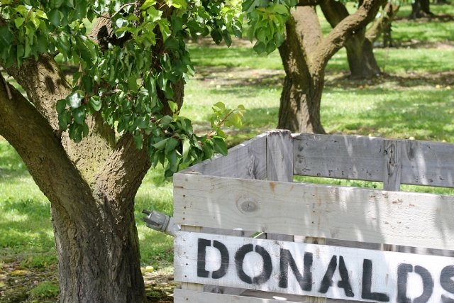 with thanks to Rosedale Orchard