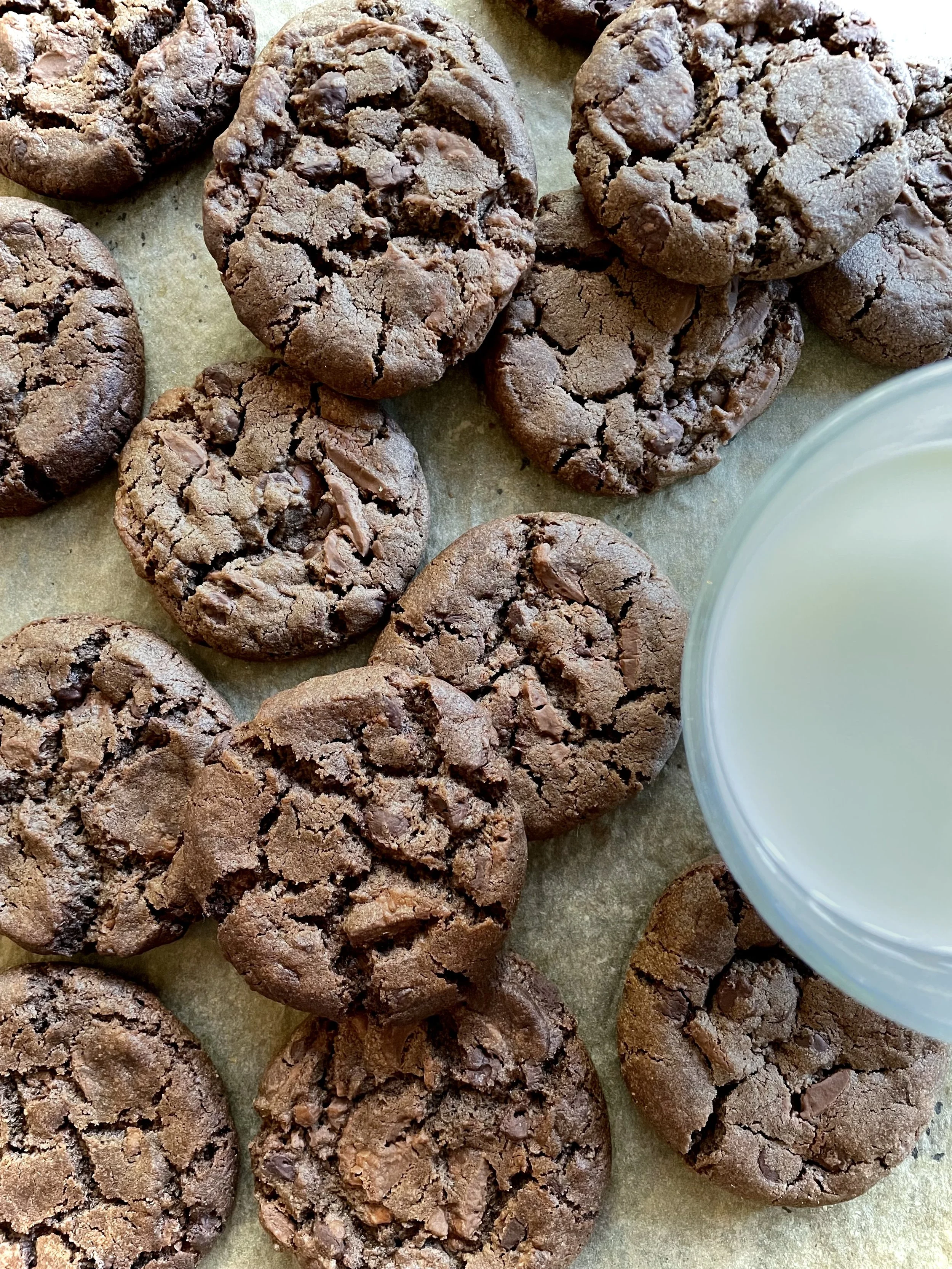 DOUBLE CHOCOLATE COOKIES
