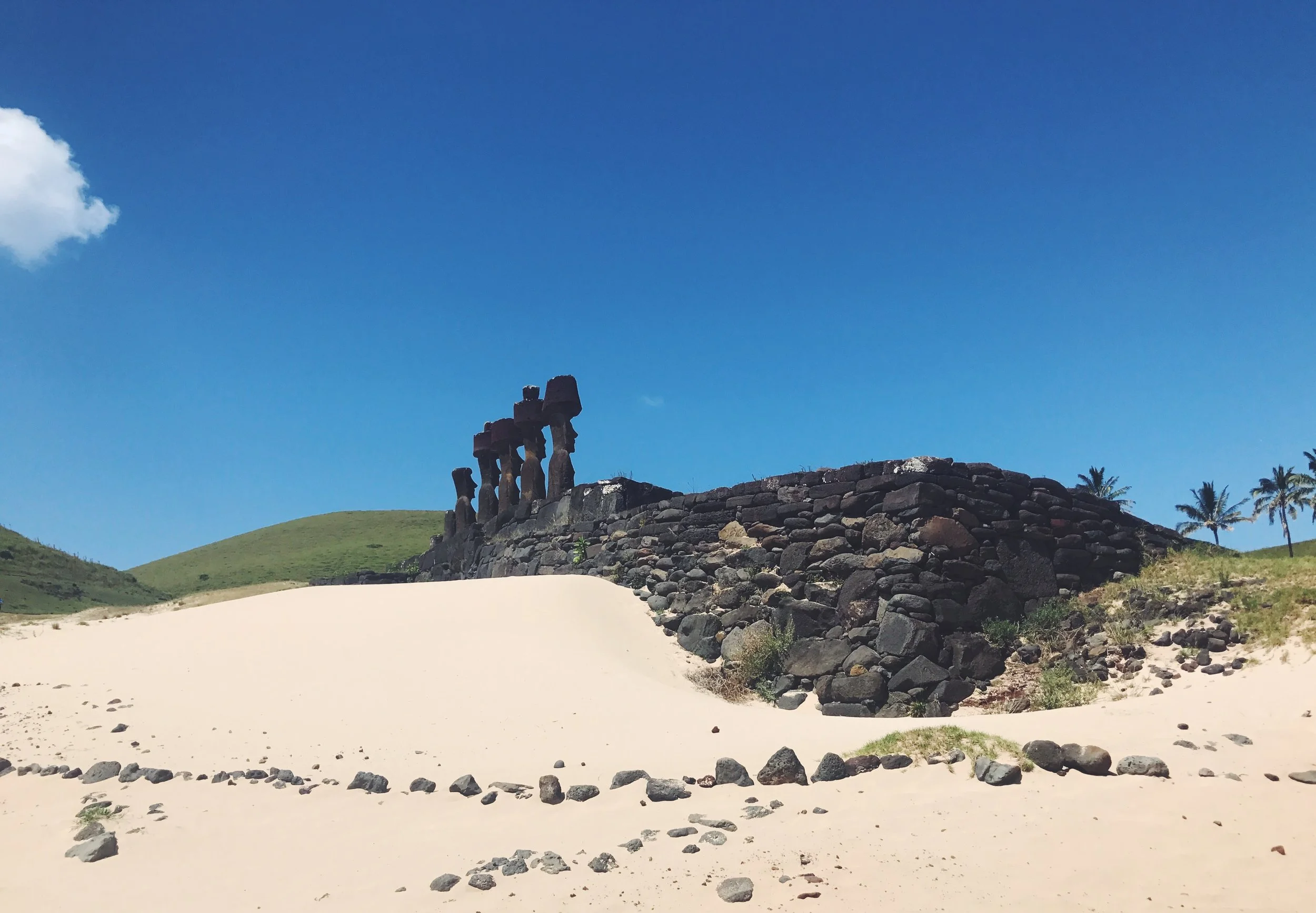 IMG_5197.jpg