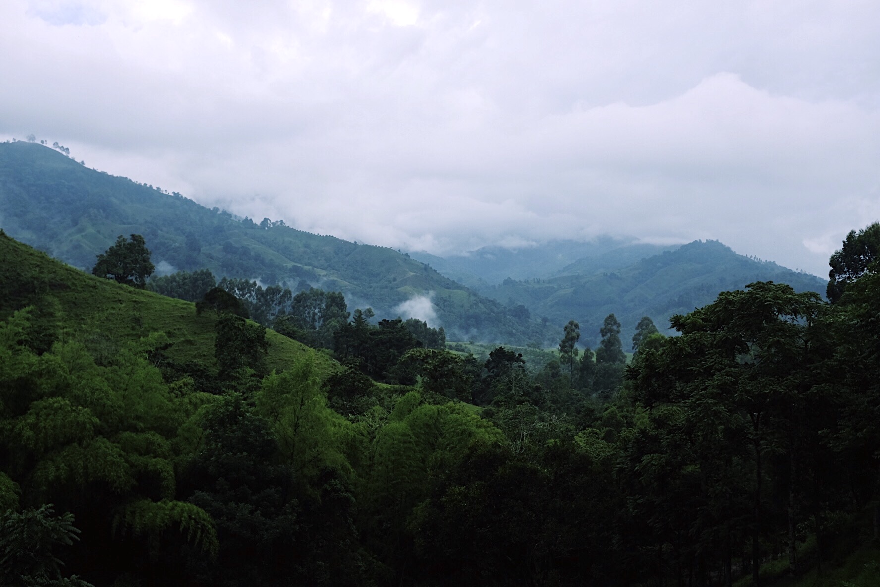 FullSizeRender 7.jpg