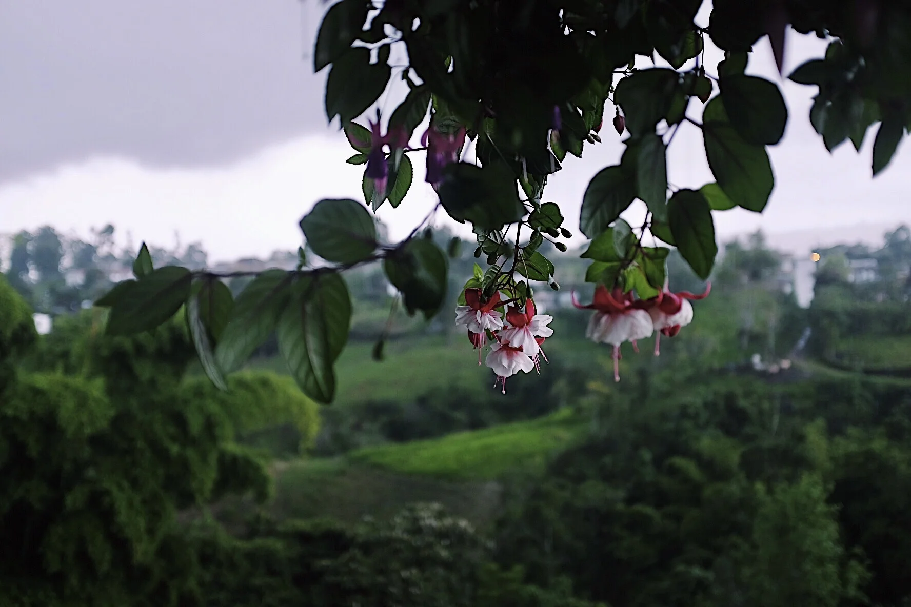 FullSizeRender 8.jpg