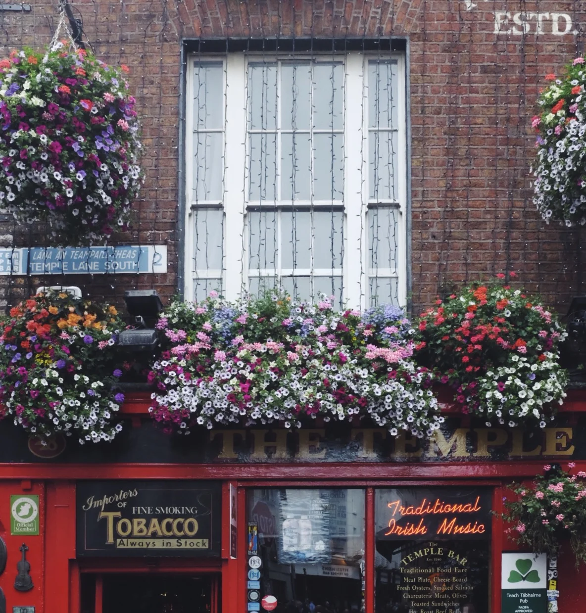 IMG_5346.JPG