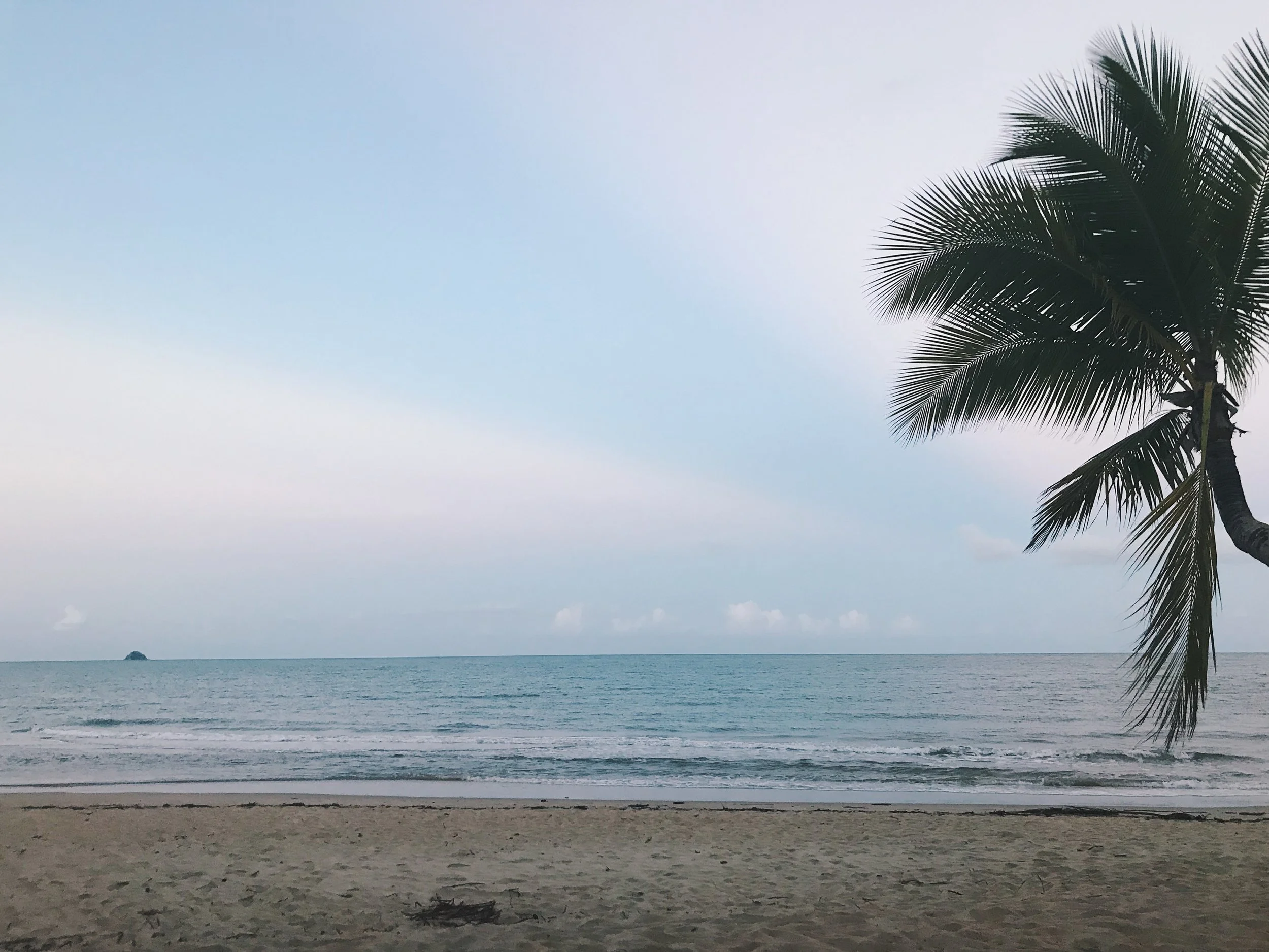 43C80D65-A737-4C77-9CE7-8ED87041D5FC.JPG