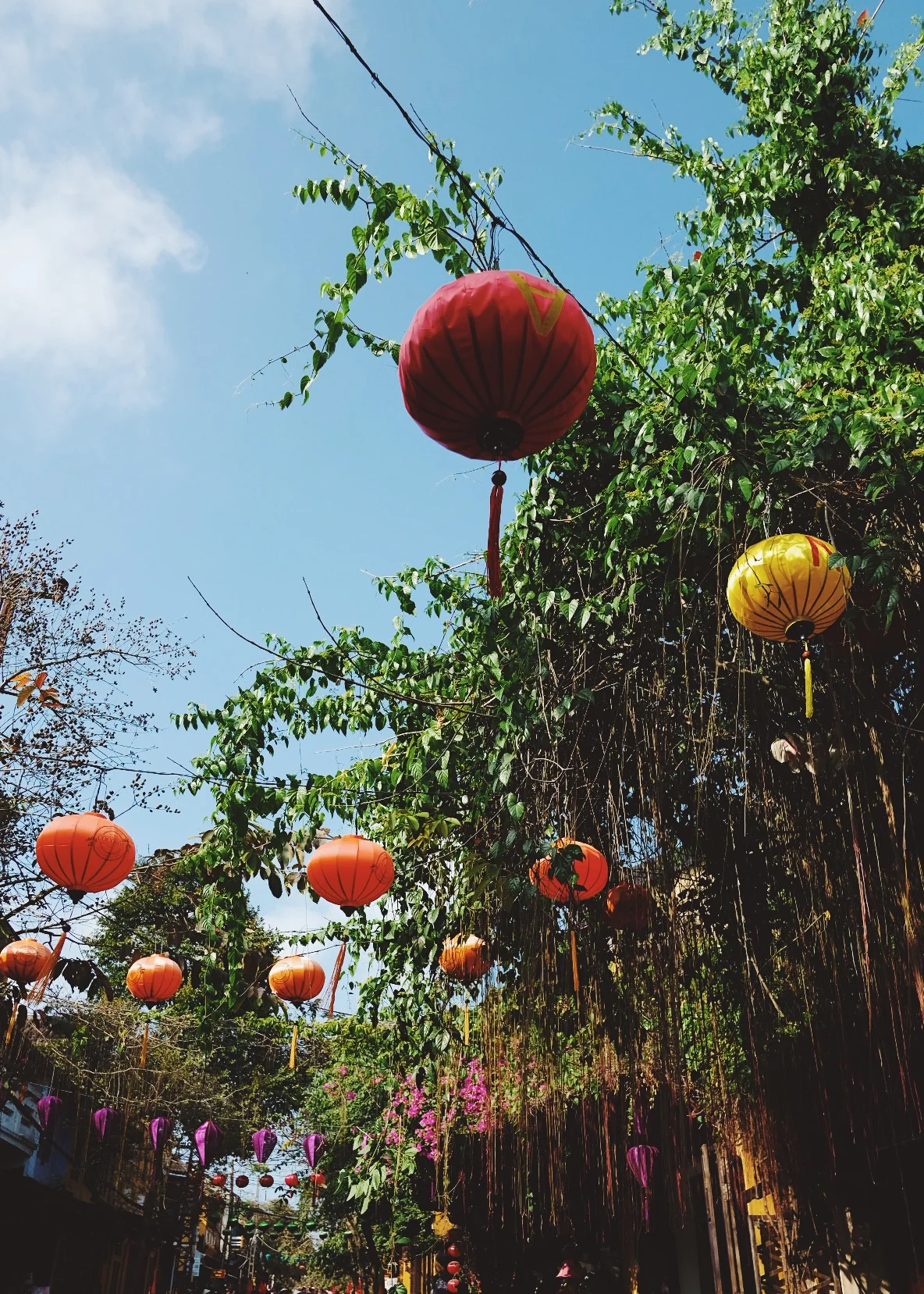 2C787F08-E831-49FB-A9B5-A526FBD71F19.JPG