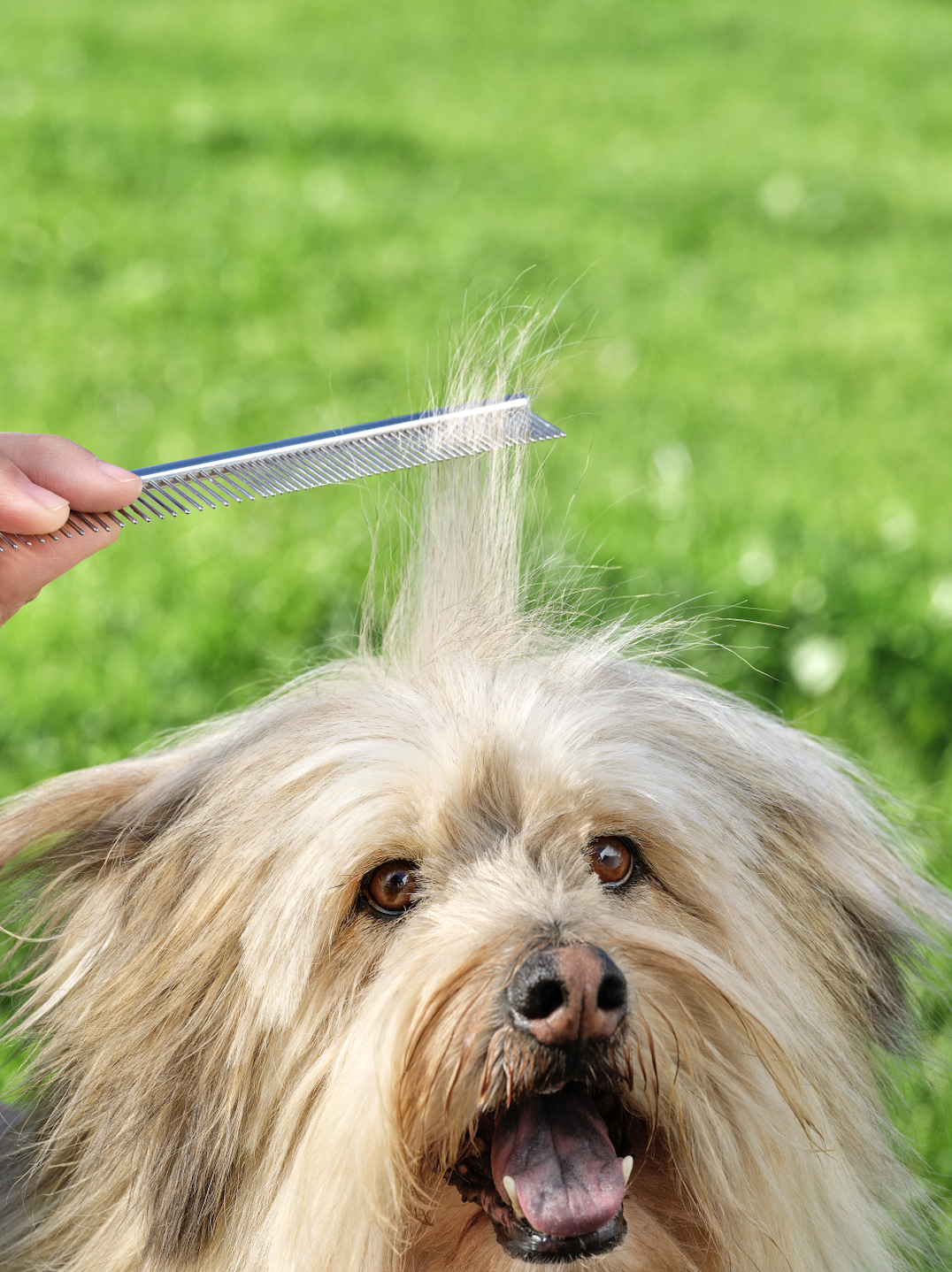 Screen Shot 2022-04-08 at 12.47.52 AM.png