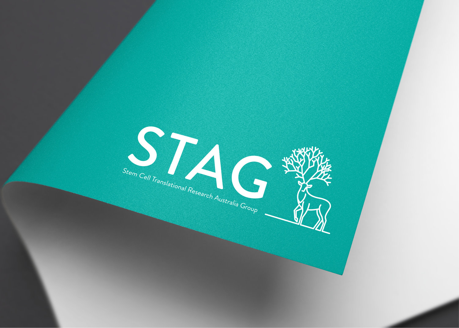 Work+Page+Mock-ups_1100x786px4.jpg