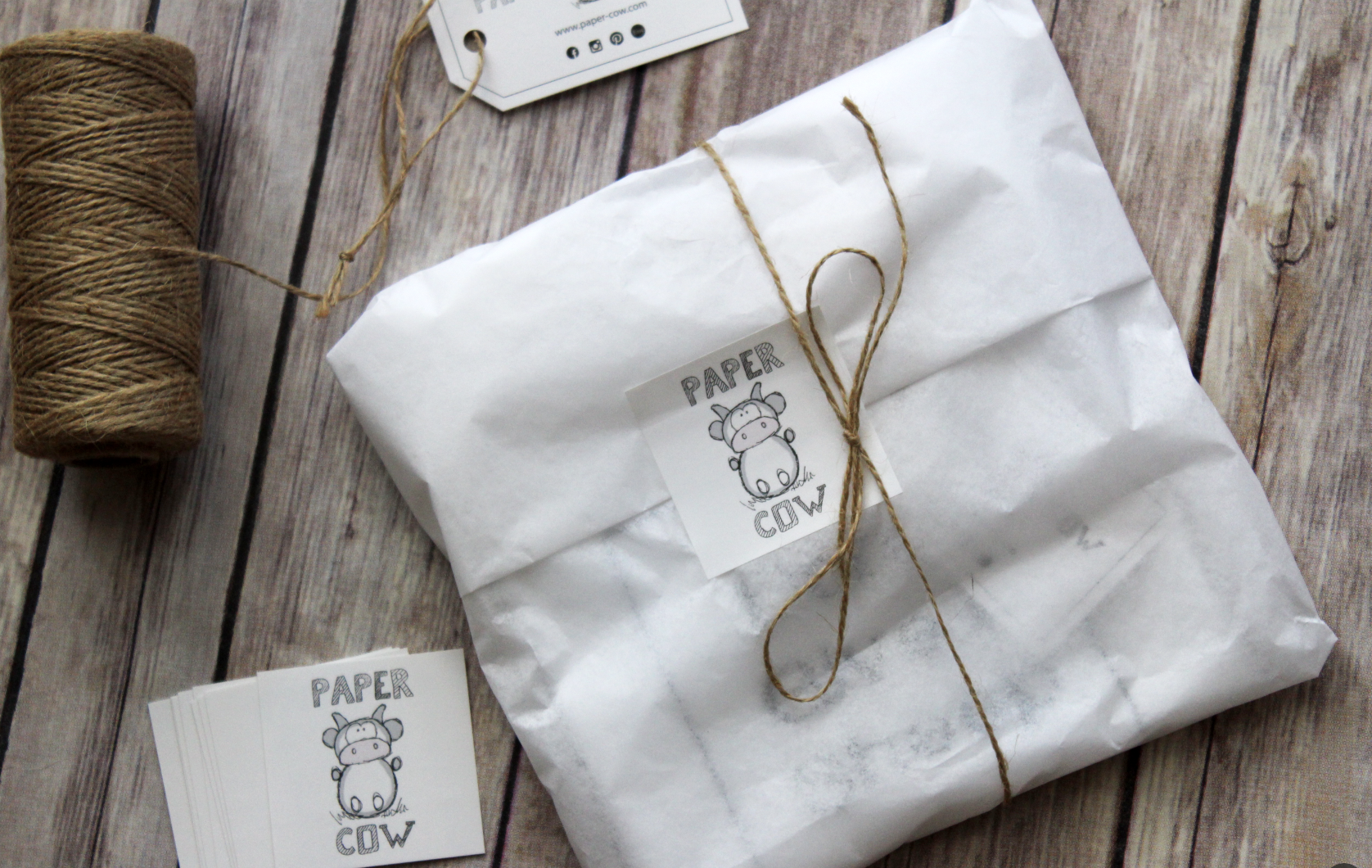 Screenshot 2026-03-04 at 10.02.03 AM.png