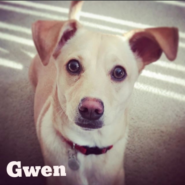 GWEN.jpg