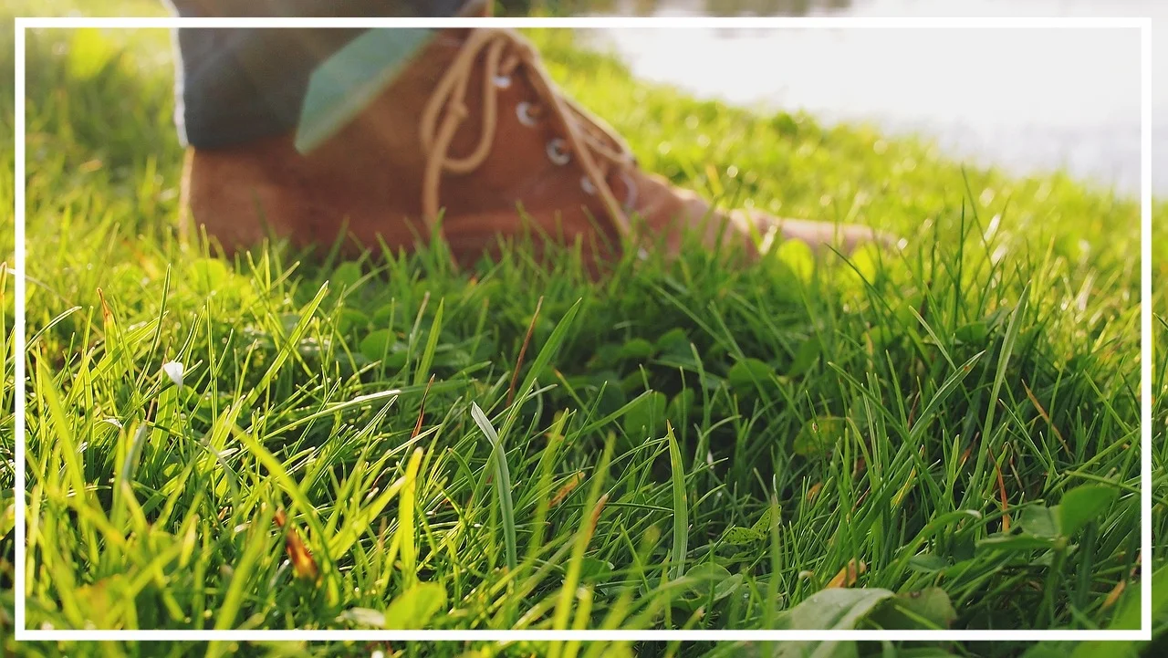 Encore delivers commercial and residential landscaping services to property owners in Indianapolis, Carmel, Fishers, Westfield and Zionsville.