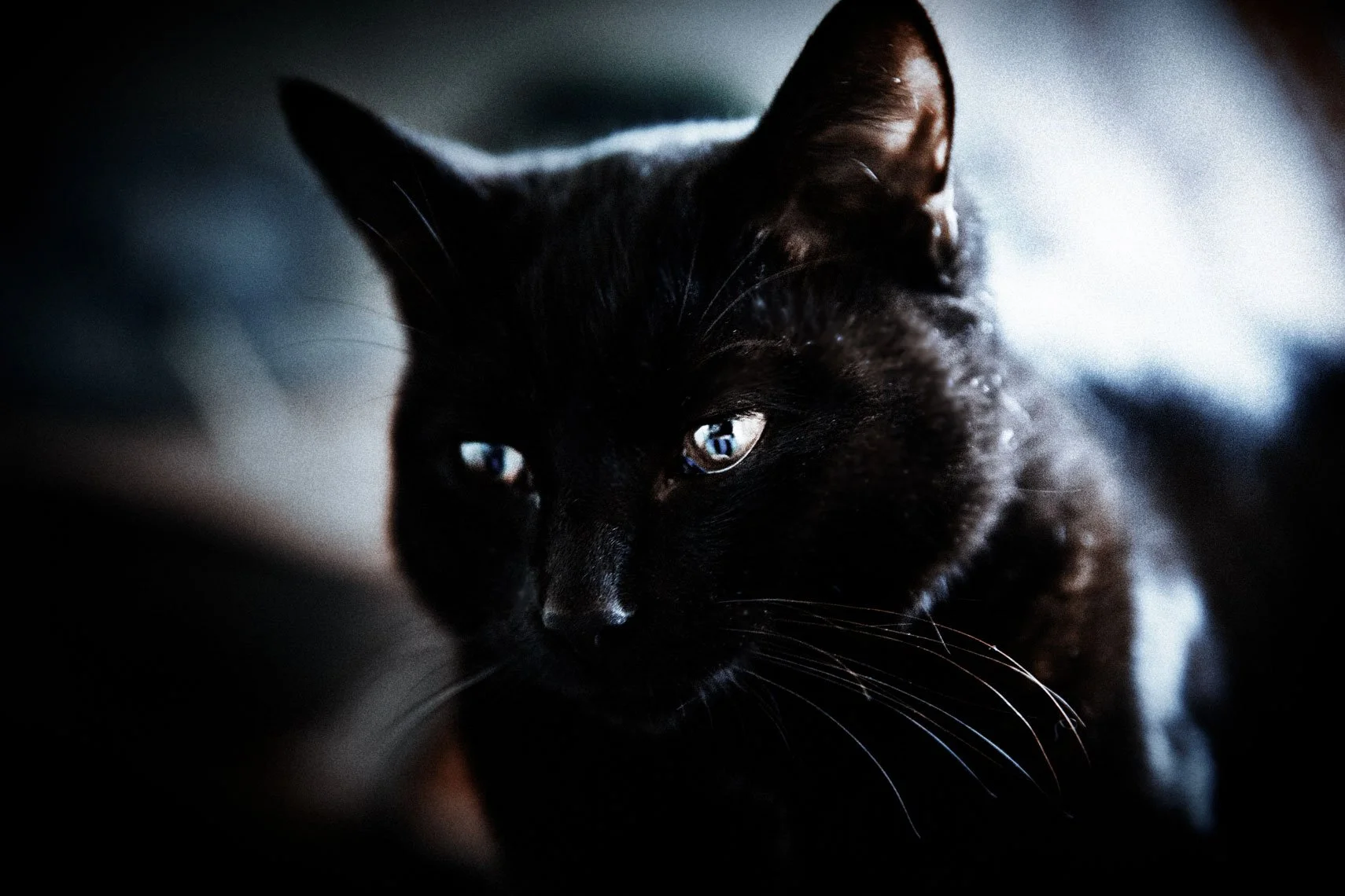 31. SEAFOOD-ON-THE-ROOF-MATCHO.jpg