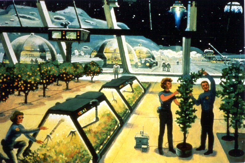 Imagining a Lunar Farm