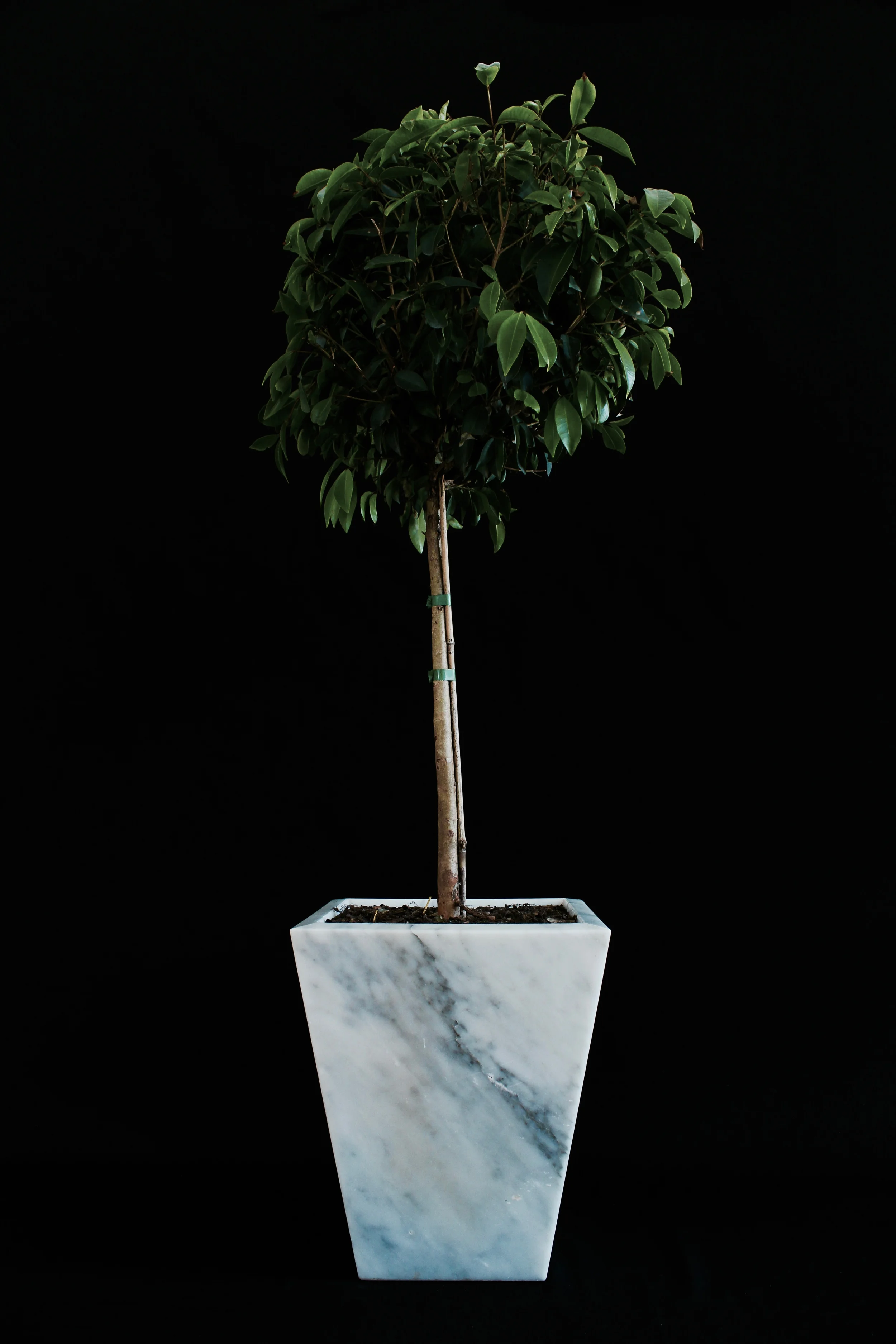 Carrara Marble Planter