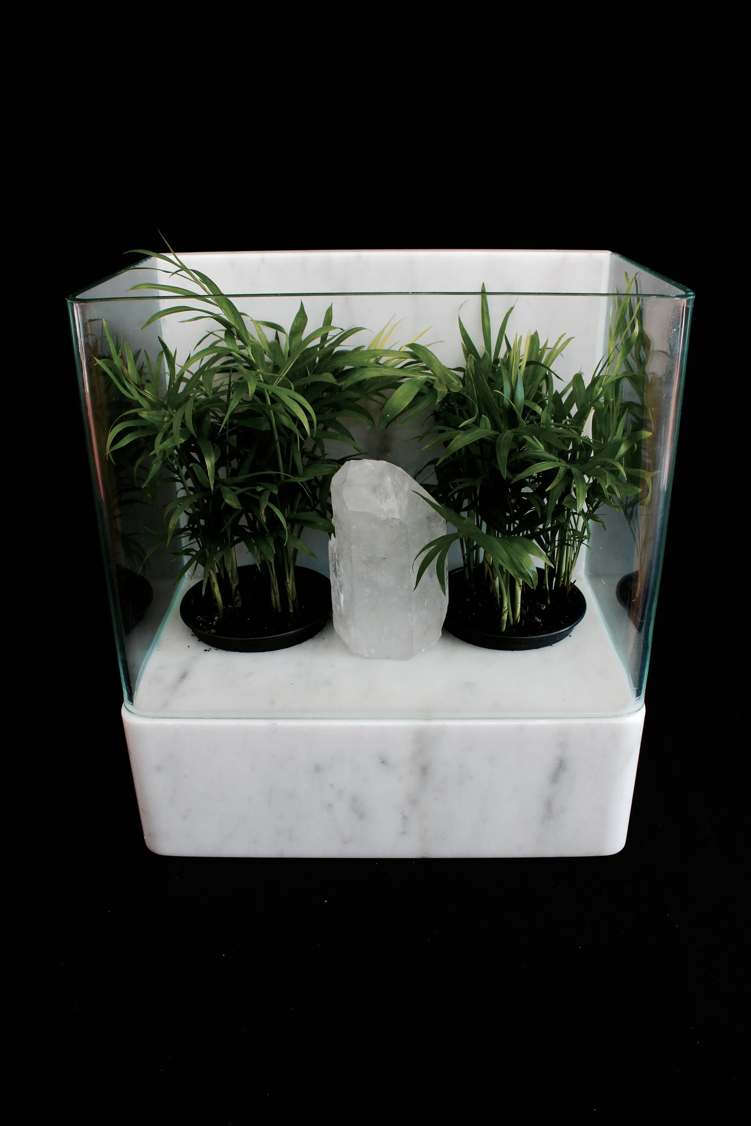 Carrara Marble Terrarium