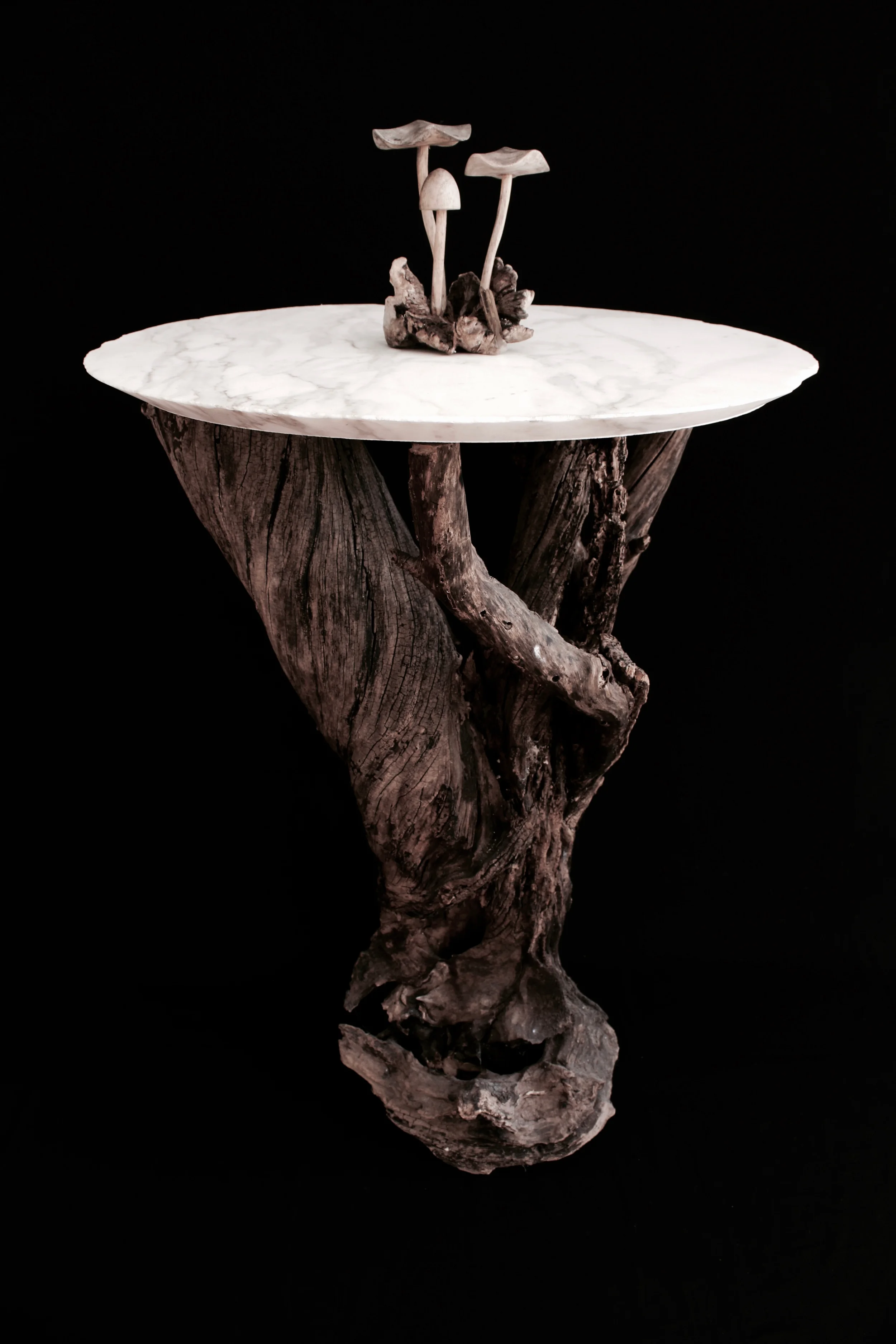 Raw Trunk & Carrara Marble Table