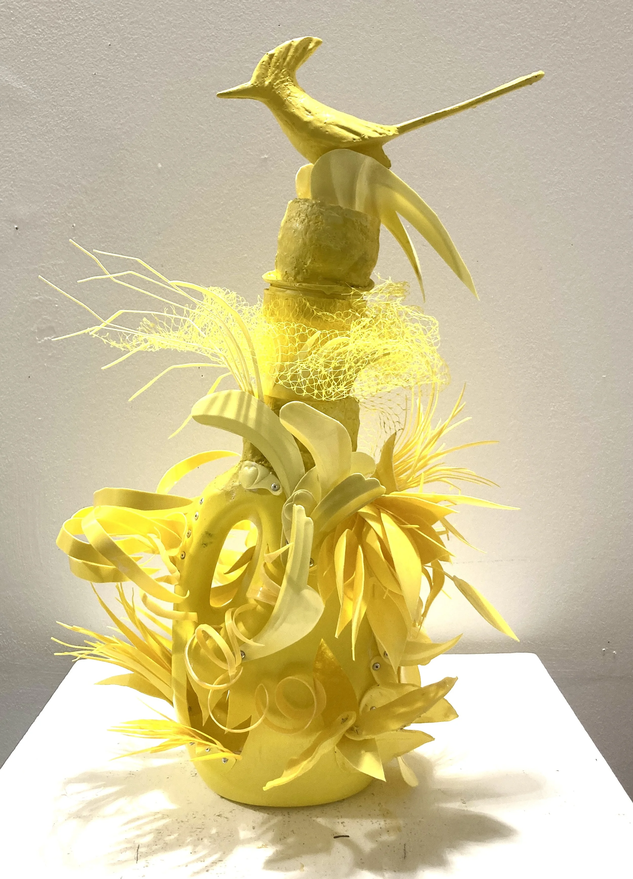 Canaries in the Coal Mine