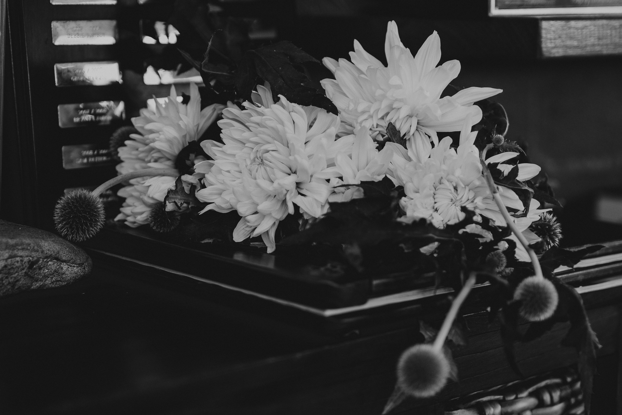 DSCF5761.jpg