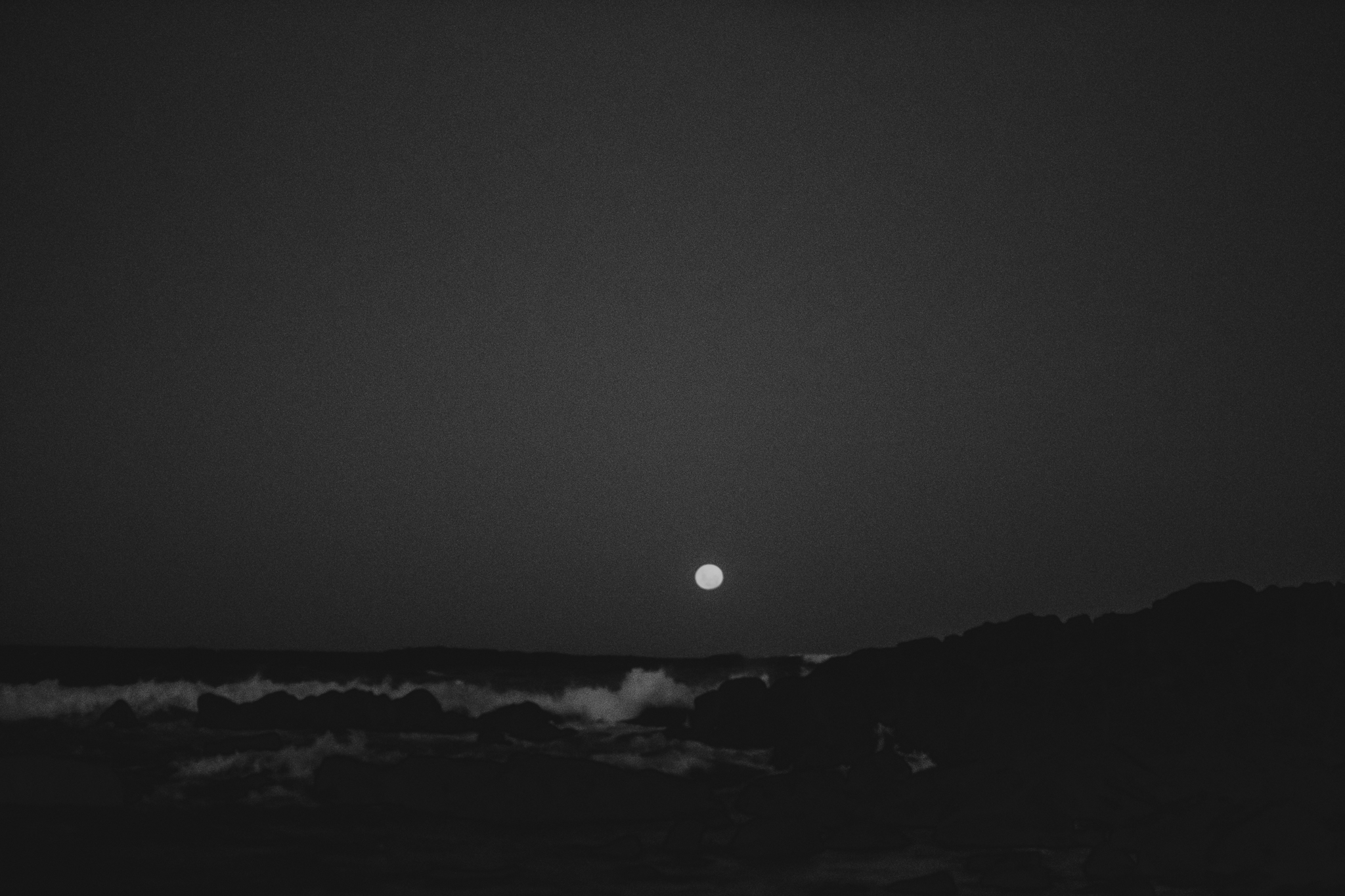 DSCF6619.jpg