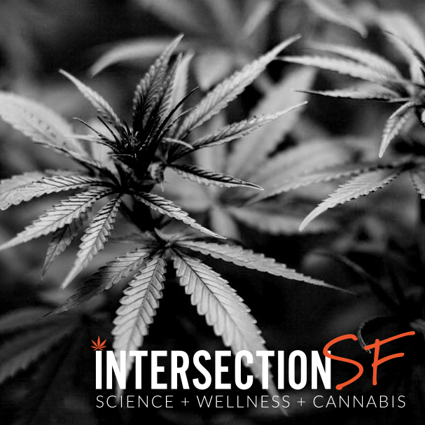 IntersectionSF