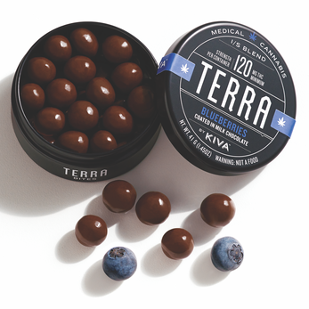 KIVA TERRA BITES: BLUEBERRY