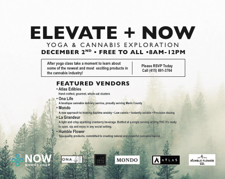 ELEVATE + NOW 