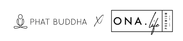 Screen Shot 2019-04-19 at 2.51.00 PM.png