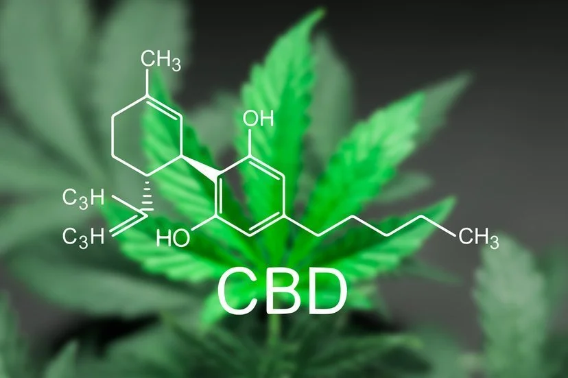 The Endocannabinoid System and CBD’s Role in Stress, Anxiety, and Fear Responses