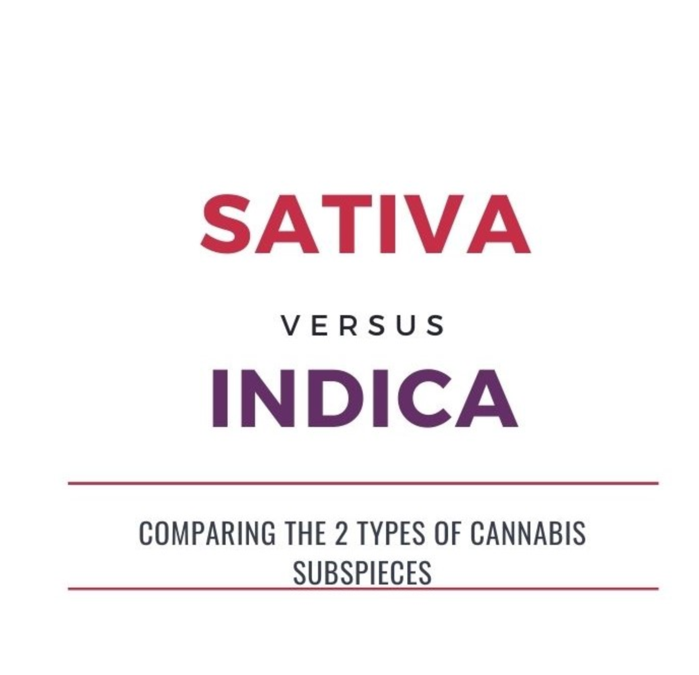 Sativa vs. Indica: ONA's Guide to Cannabis Subspecies