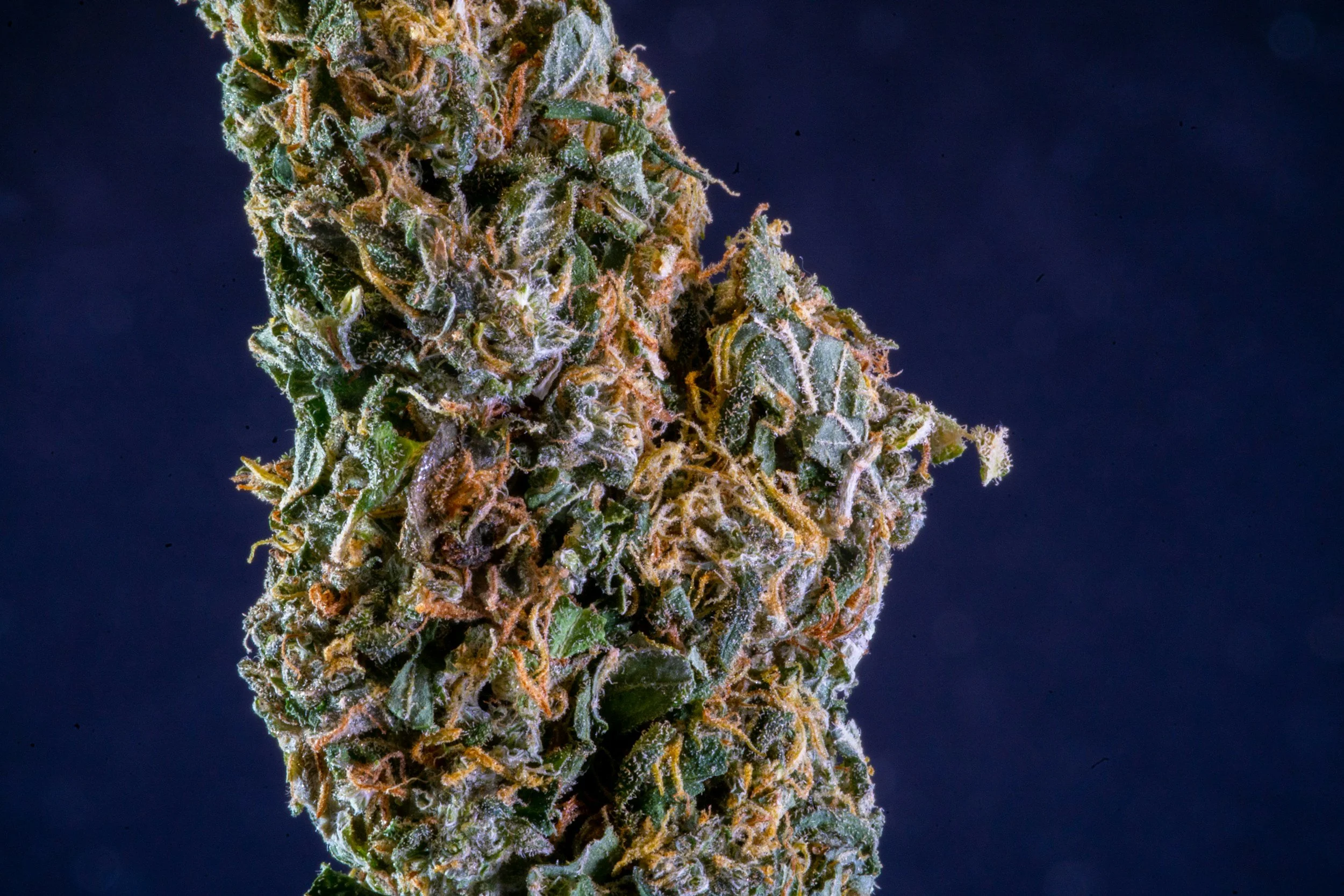 What Does a Sativa High Feel Like?